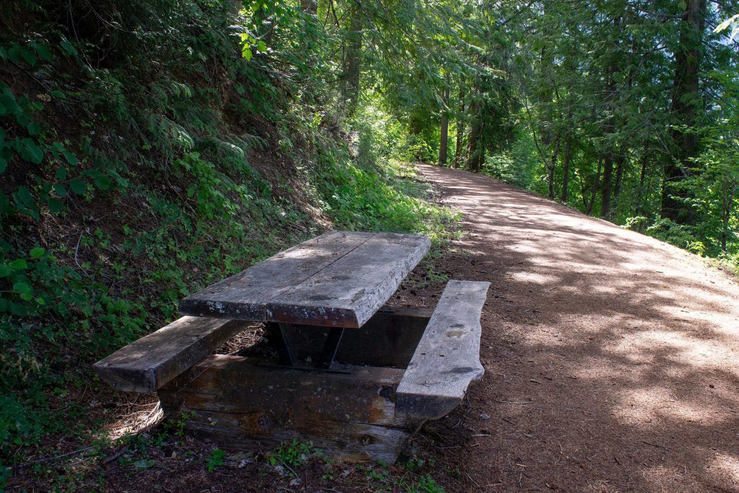 Picnic table next to trail through the woods