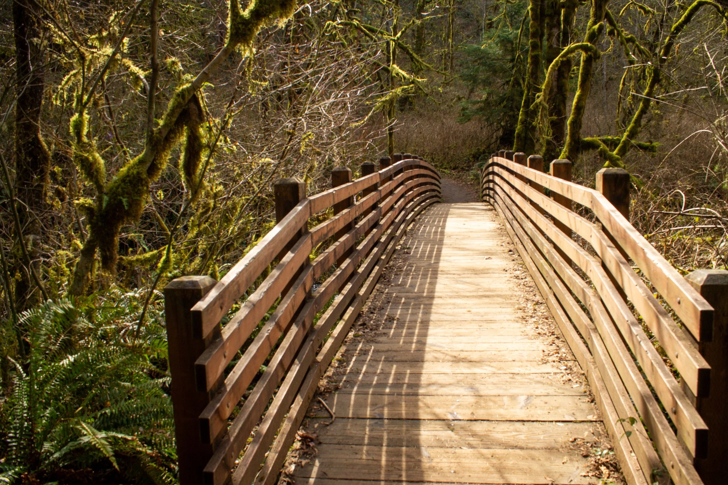 Footbridge over McDowell Creek