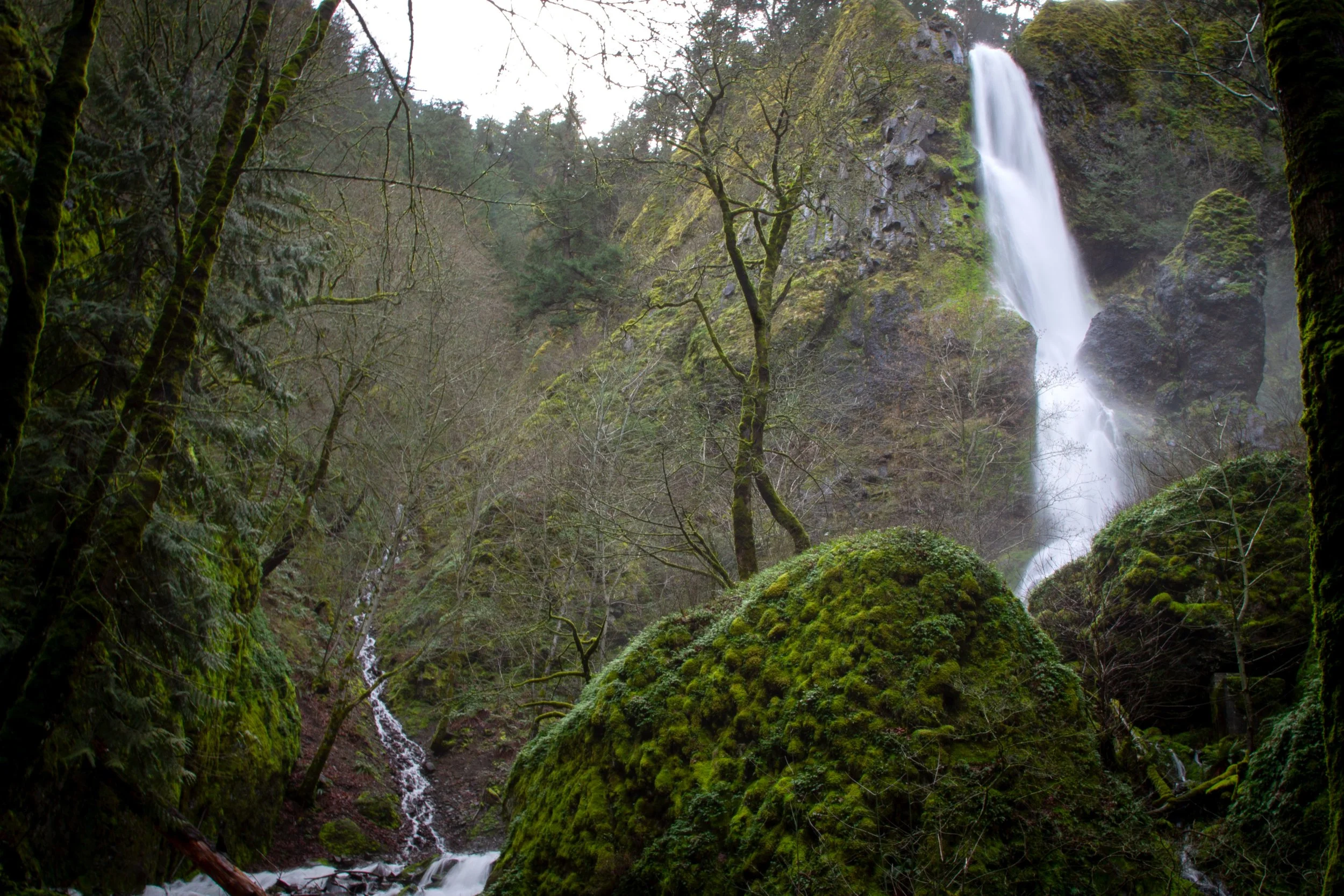 Starvation Creek Falls on cloudy day