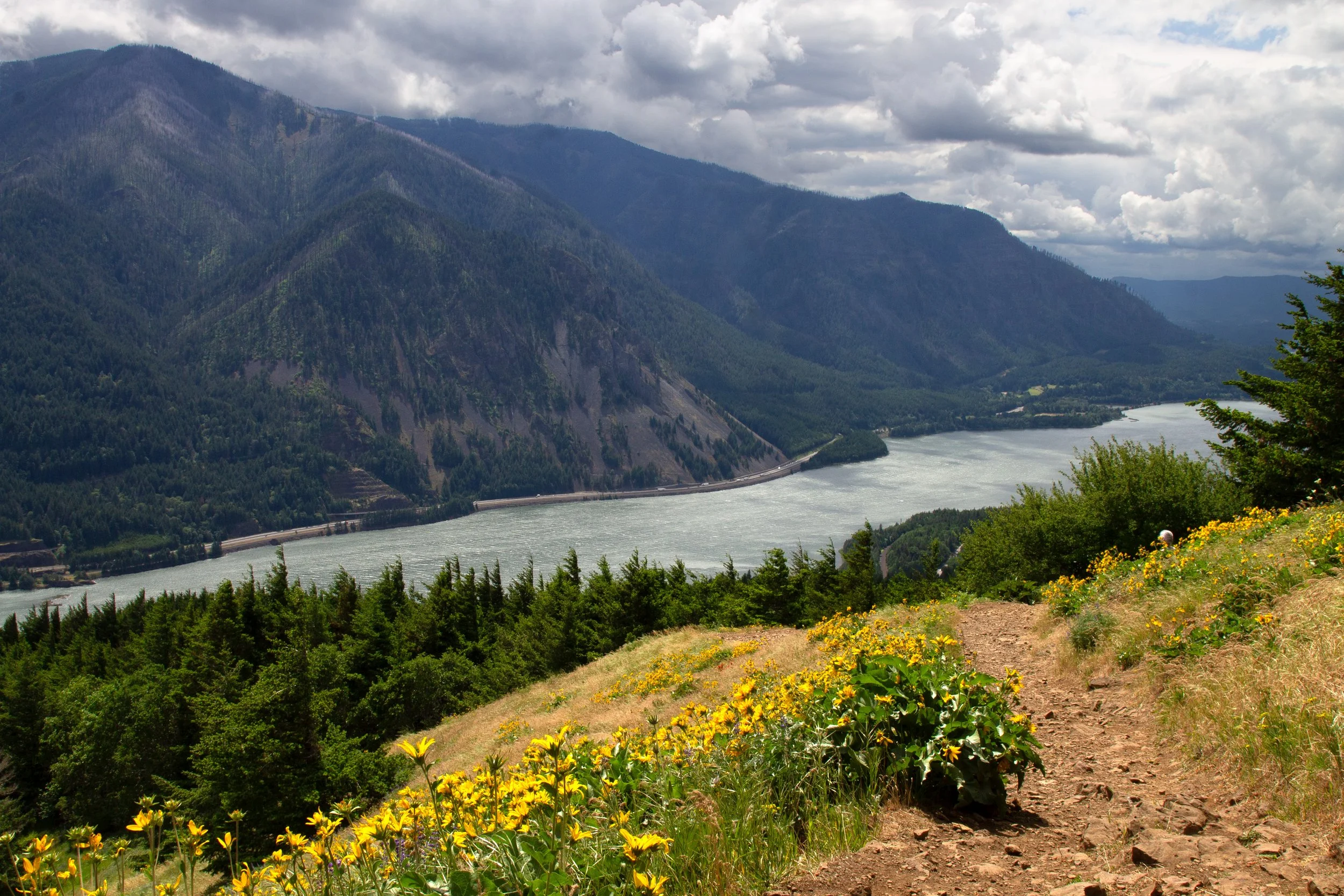 Columbia Gorge view from the Dog Mountain Trail