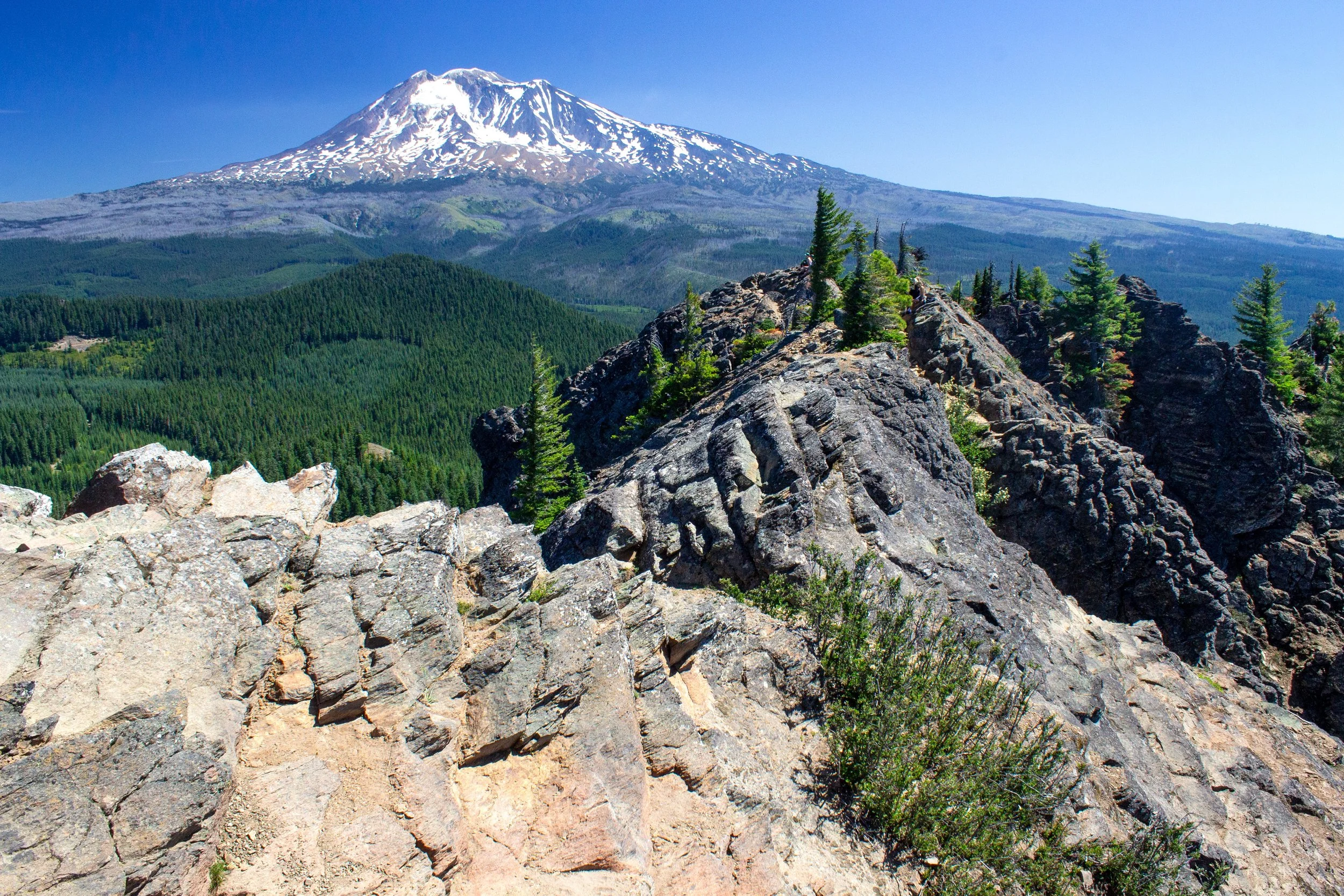 Top of Sleeping Beauty Trail