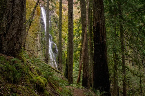 15 Hidden Gem Hikes near Portland — Pines and Vines