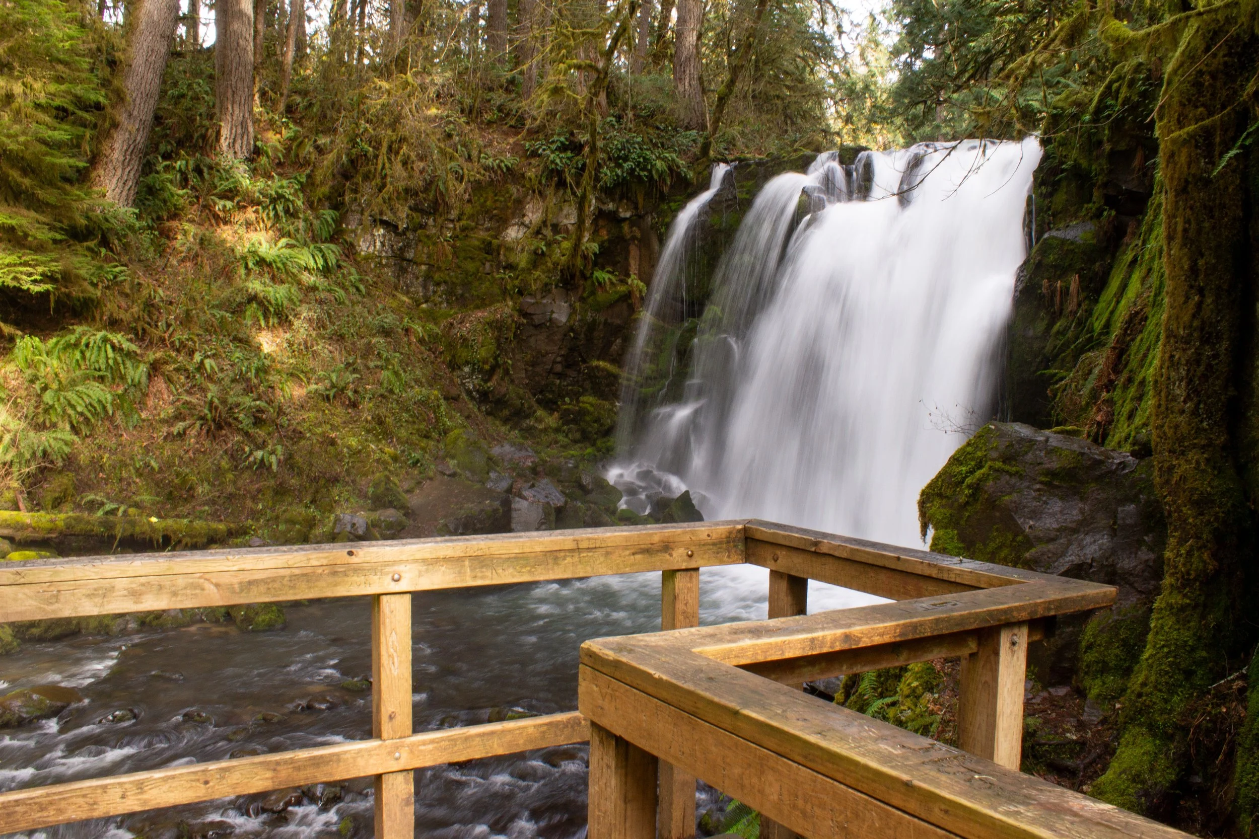 Fenced viewpoint for Majestic Falls