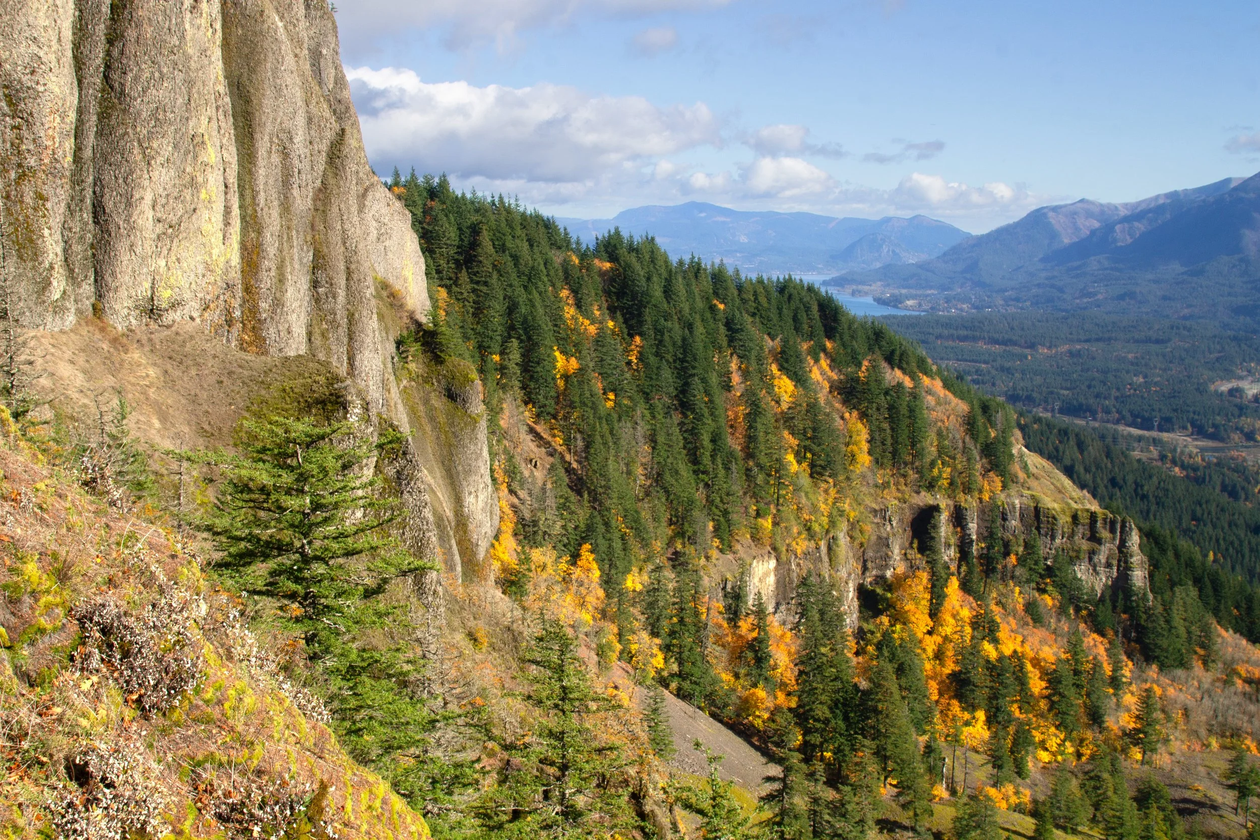 Fall color on Hamilton Mountain