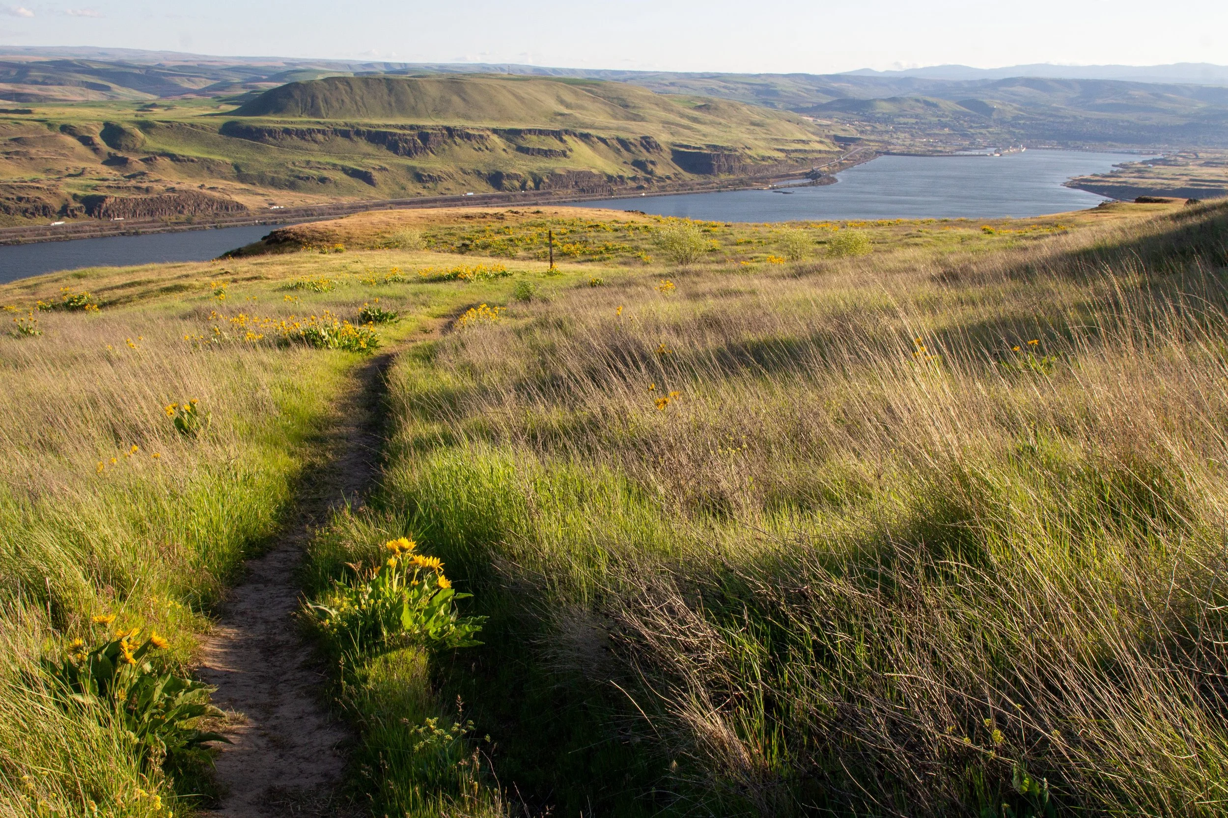 Vista Loop Trail along Columbia River