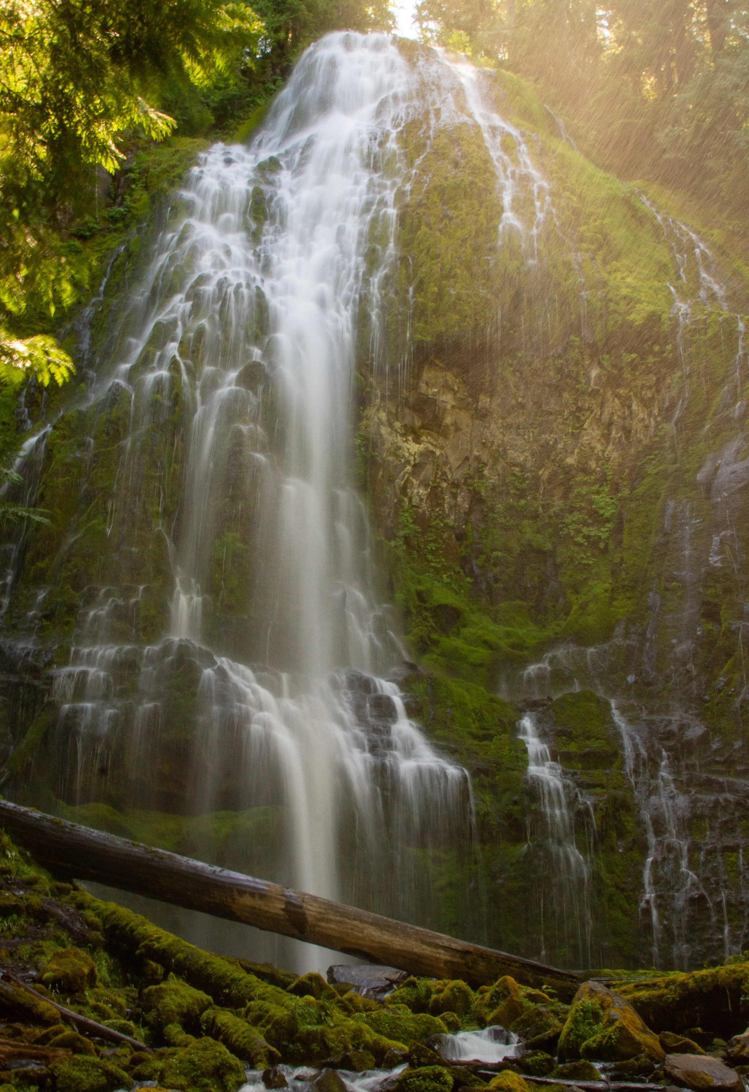 Proxy Falls
