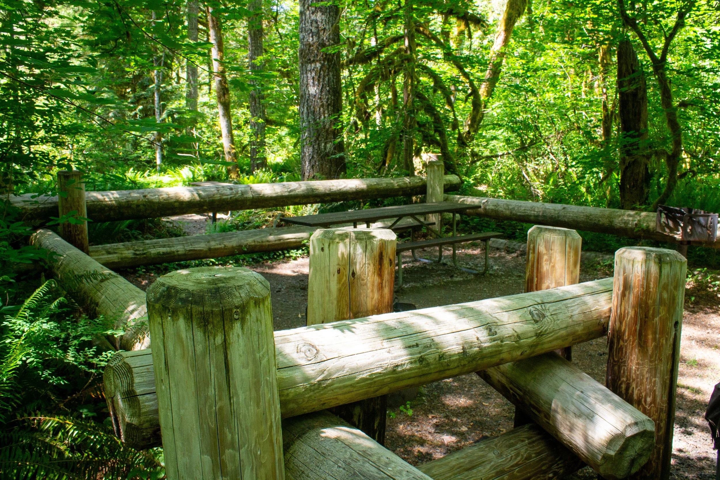 Picnic table in the forest