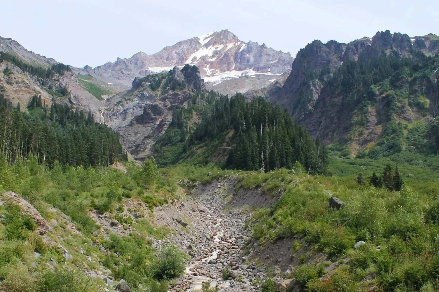 Mount Hood behind valley