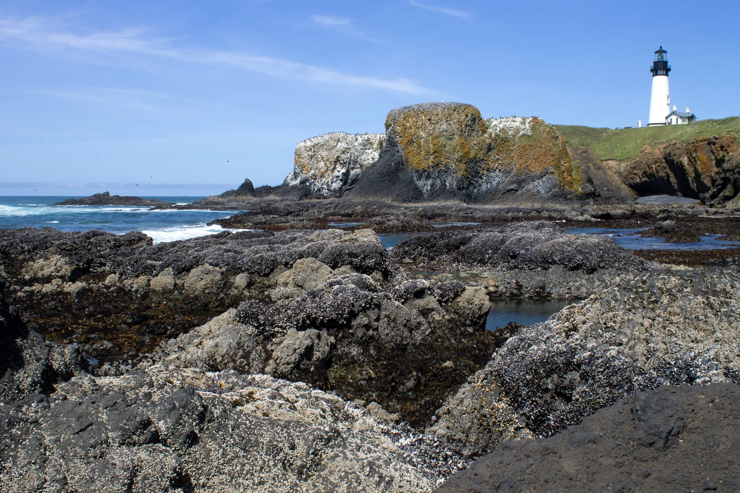 Yaquina Head Lighthouse above rocky beach