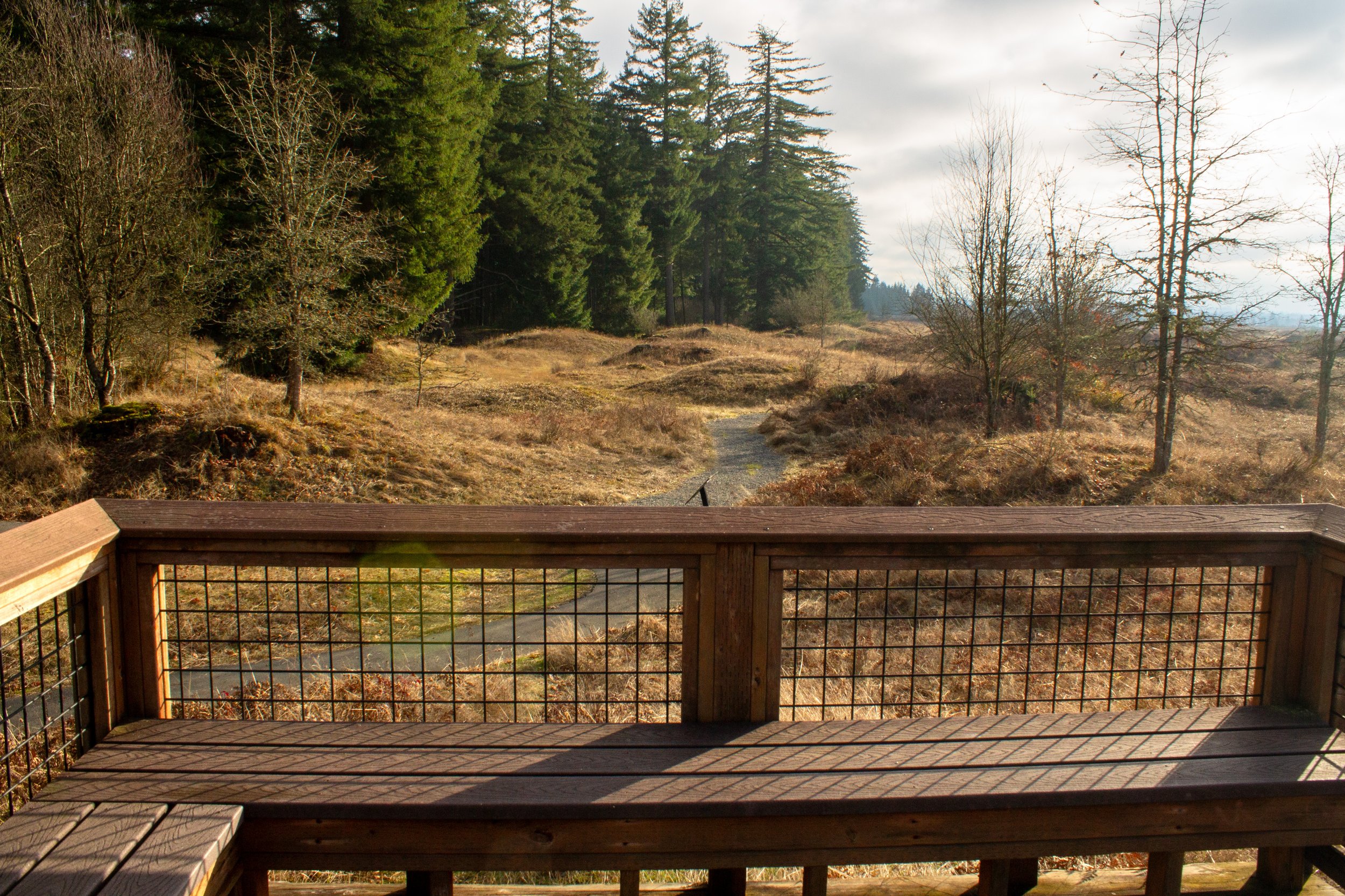 Platform with benches overlooks Mima mounds
