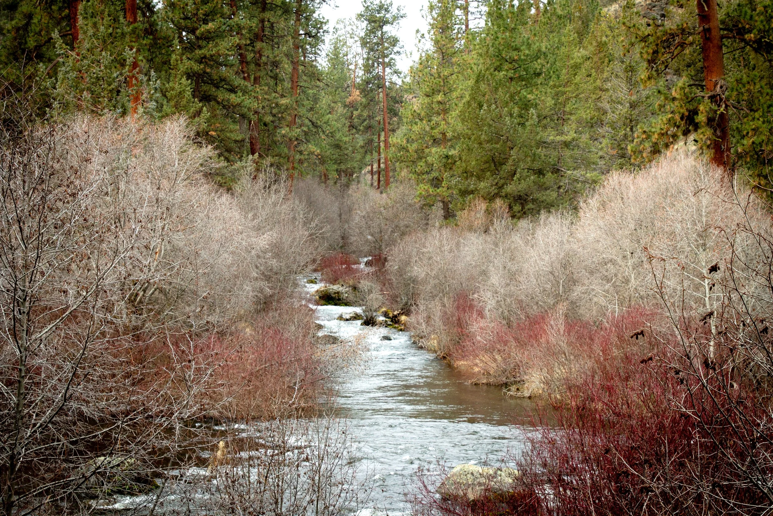 Tributary meets Deschutes River