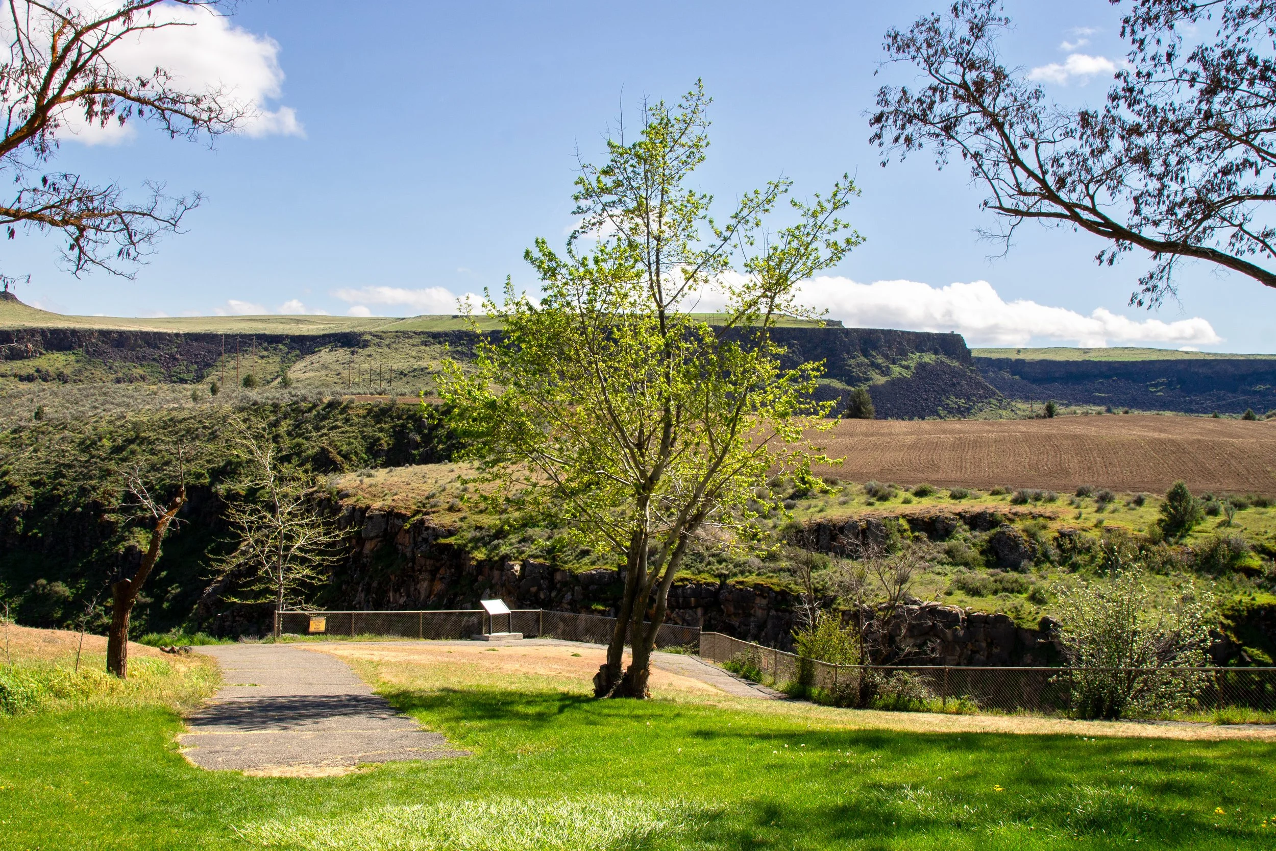 Fenced viewpoint by canyon