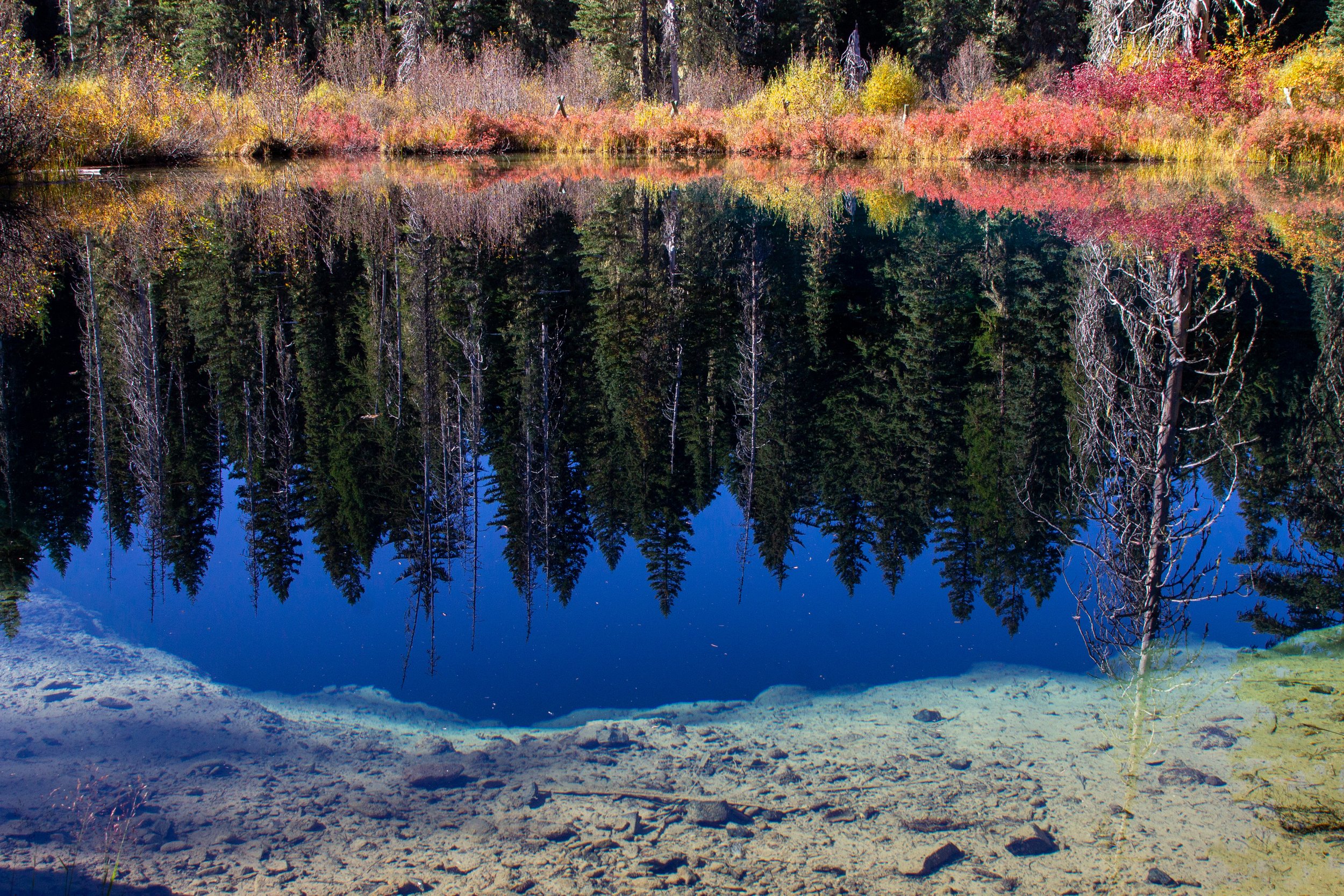 Conifers reflect off Little Crater Lake
