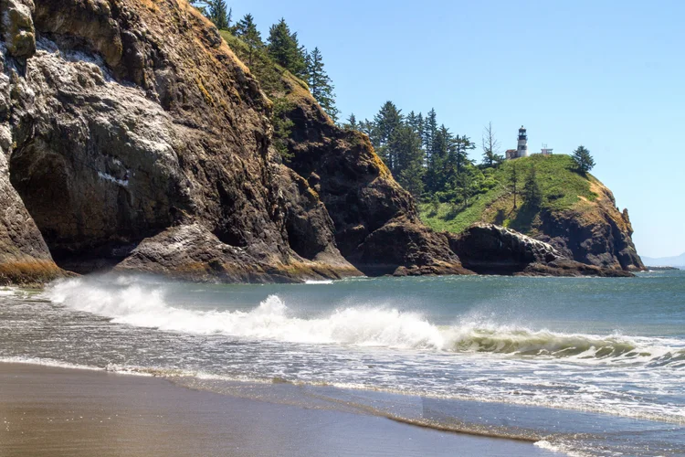 Quick Guide to Cape Disappointment State Park — Pines and Vines