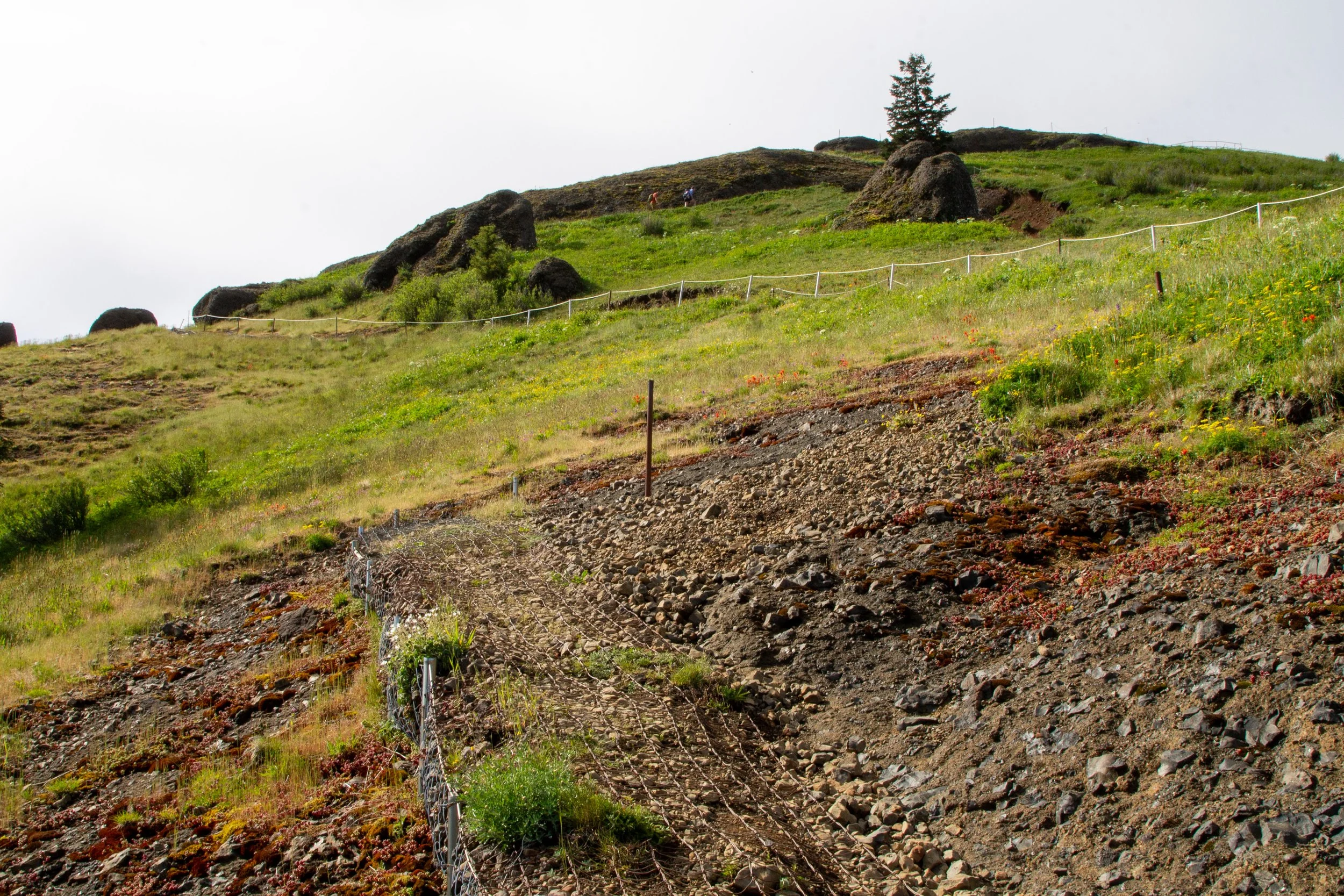 Steep trail on Saddle Mountain