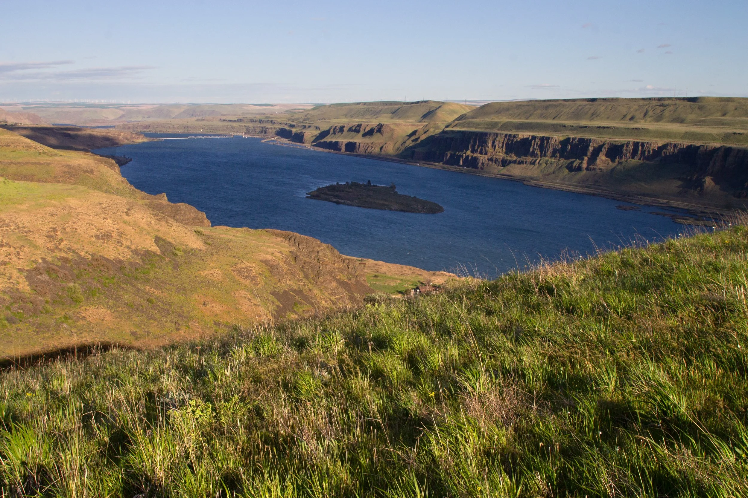 Overlooking Columbia River from grassy slope
