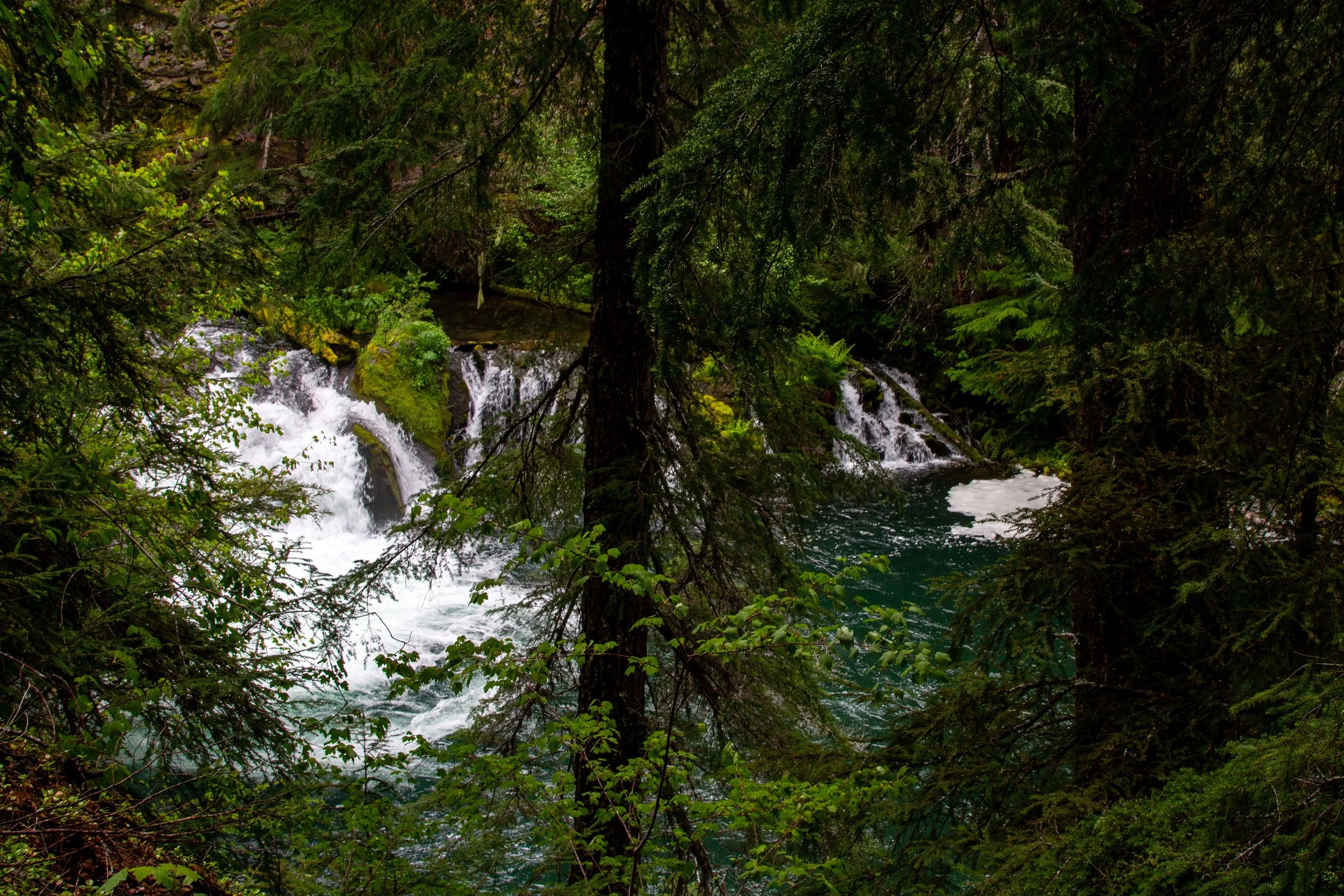 River cascades behind trees