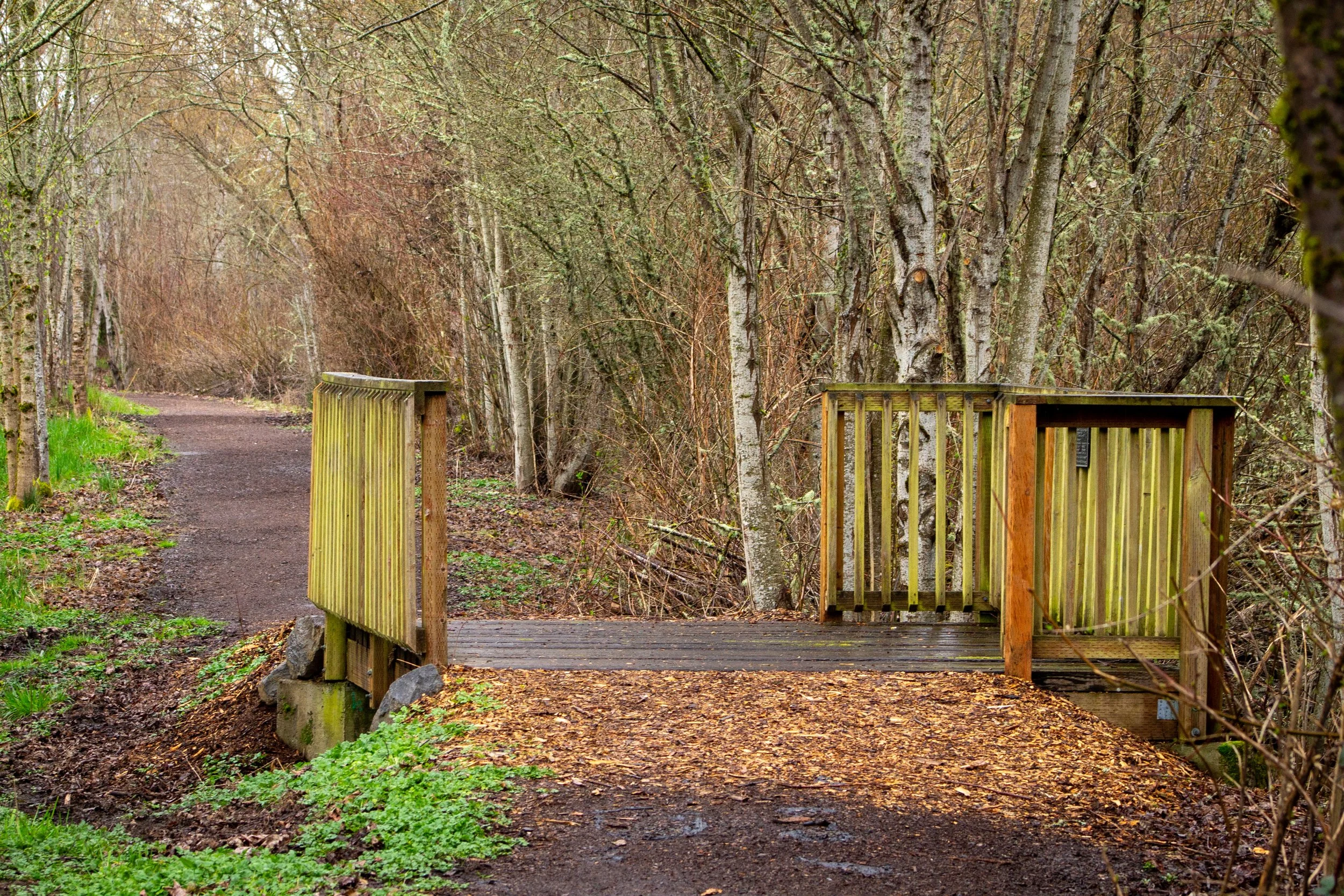 Wood footbridge along dirt trail