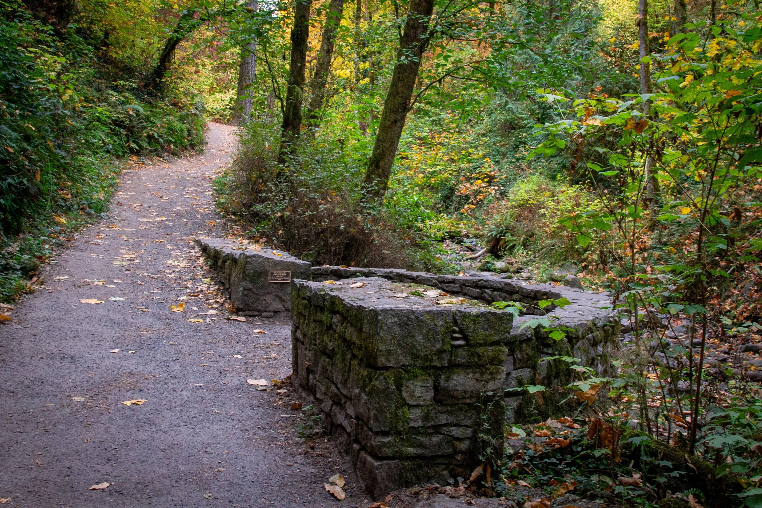Stone wall around viewpoint next to Balch Creek