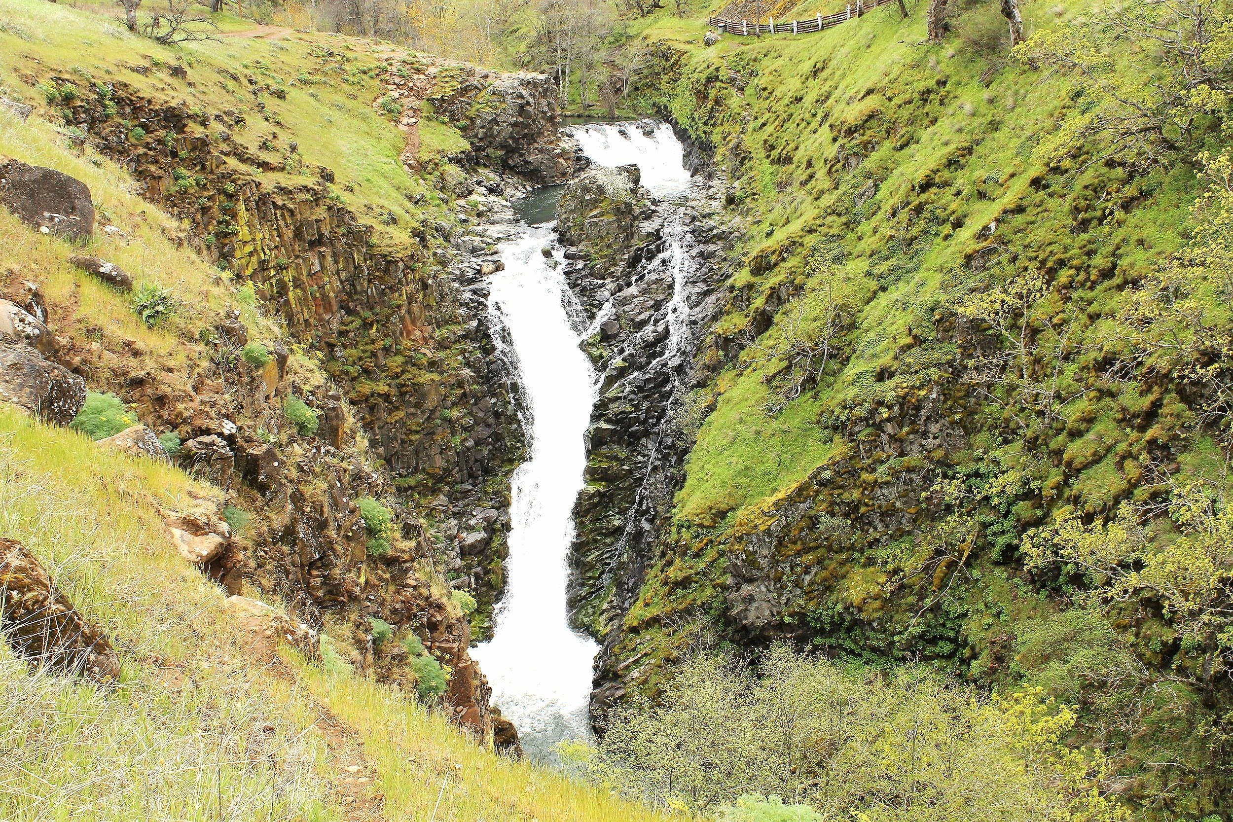 Mosier Plateau and Idiot's Grace — Pines and Vines