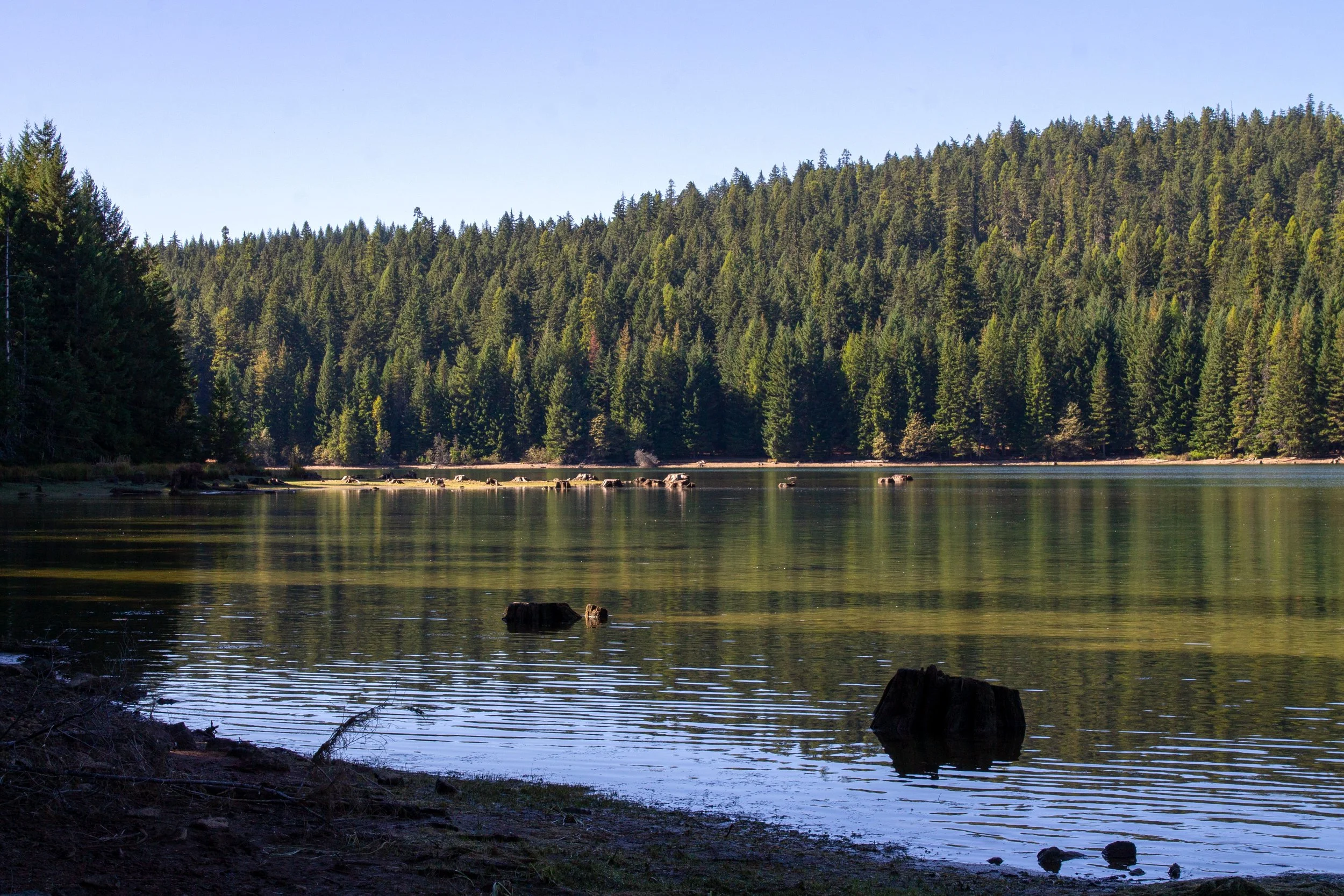 Lakeshore