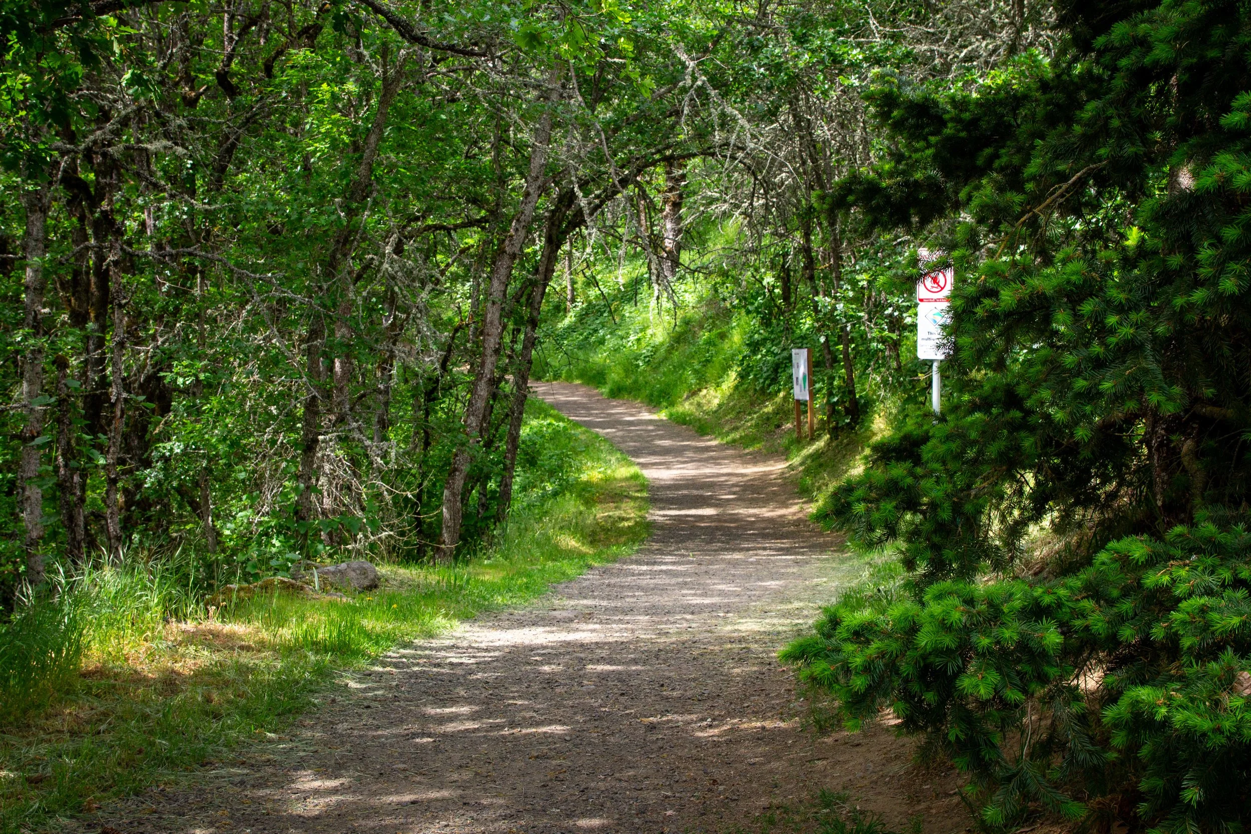 Shady hiking trail