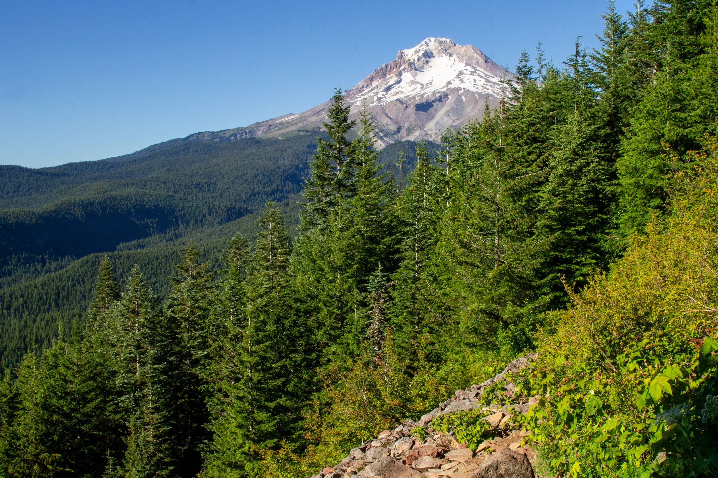 Mount Hood view from rocky hiking trail