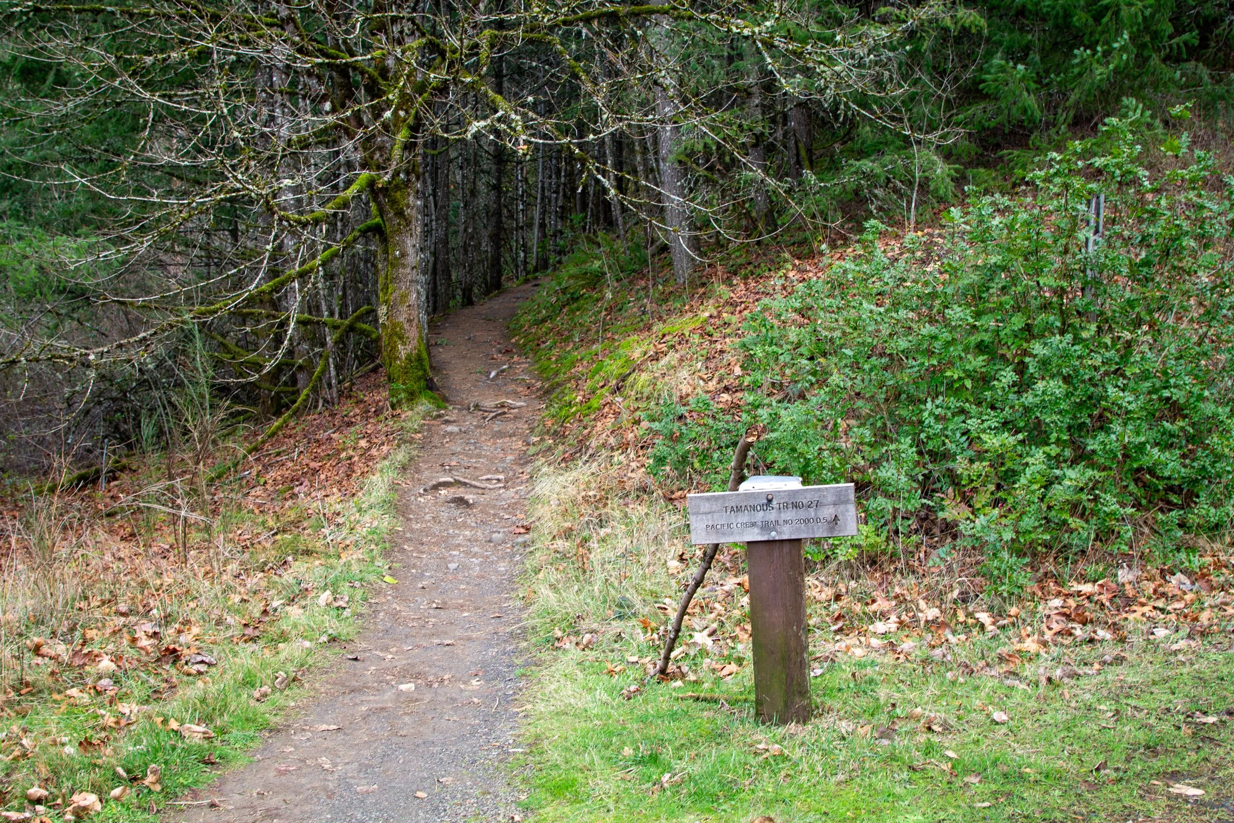 Sign marks Tamanous Trail