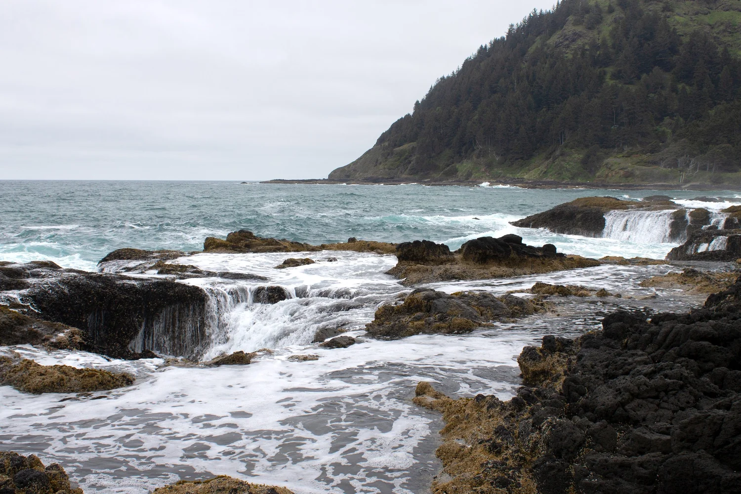 20 Best Hikes on the Oregon Coast — Pines and Vines
