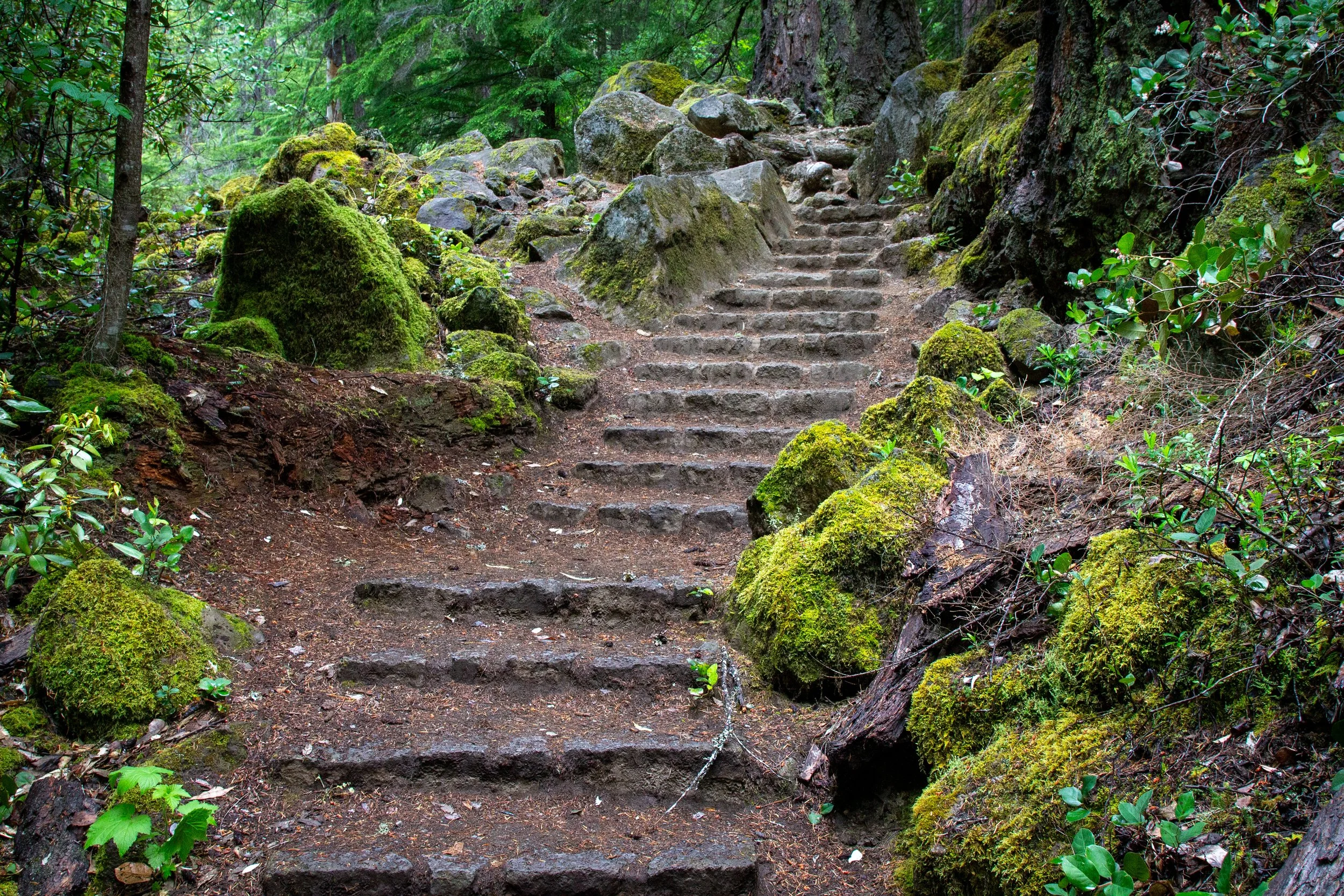 Stone steps on the Toketee Falls Trail