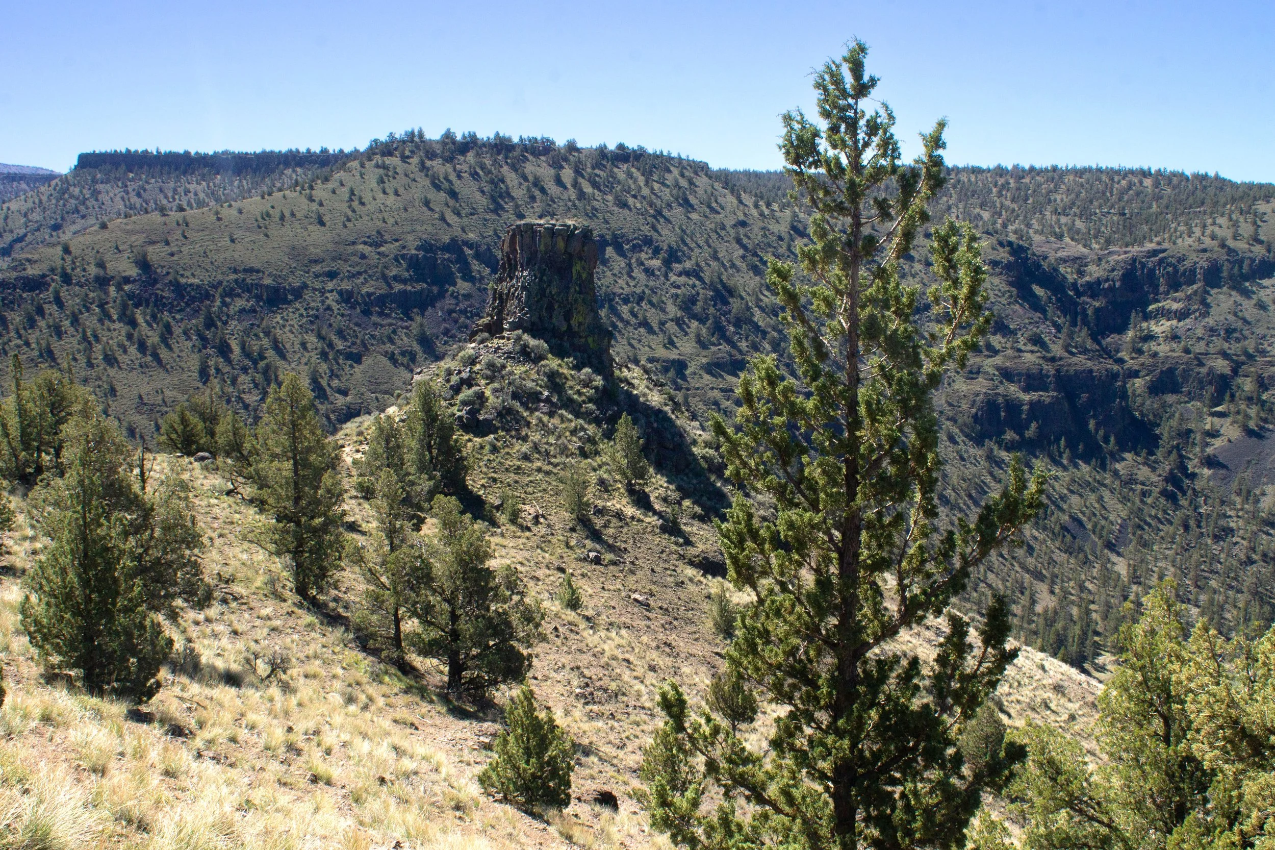 Chimney Rock