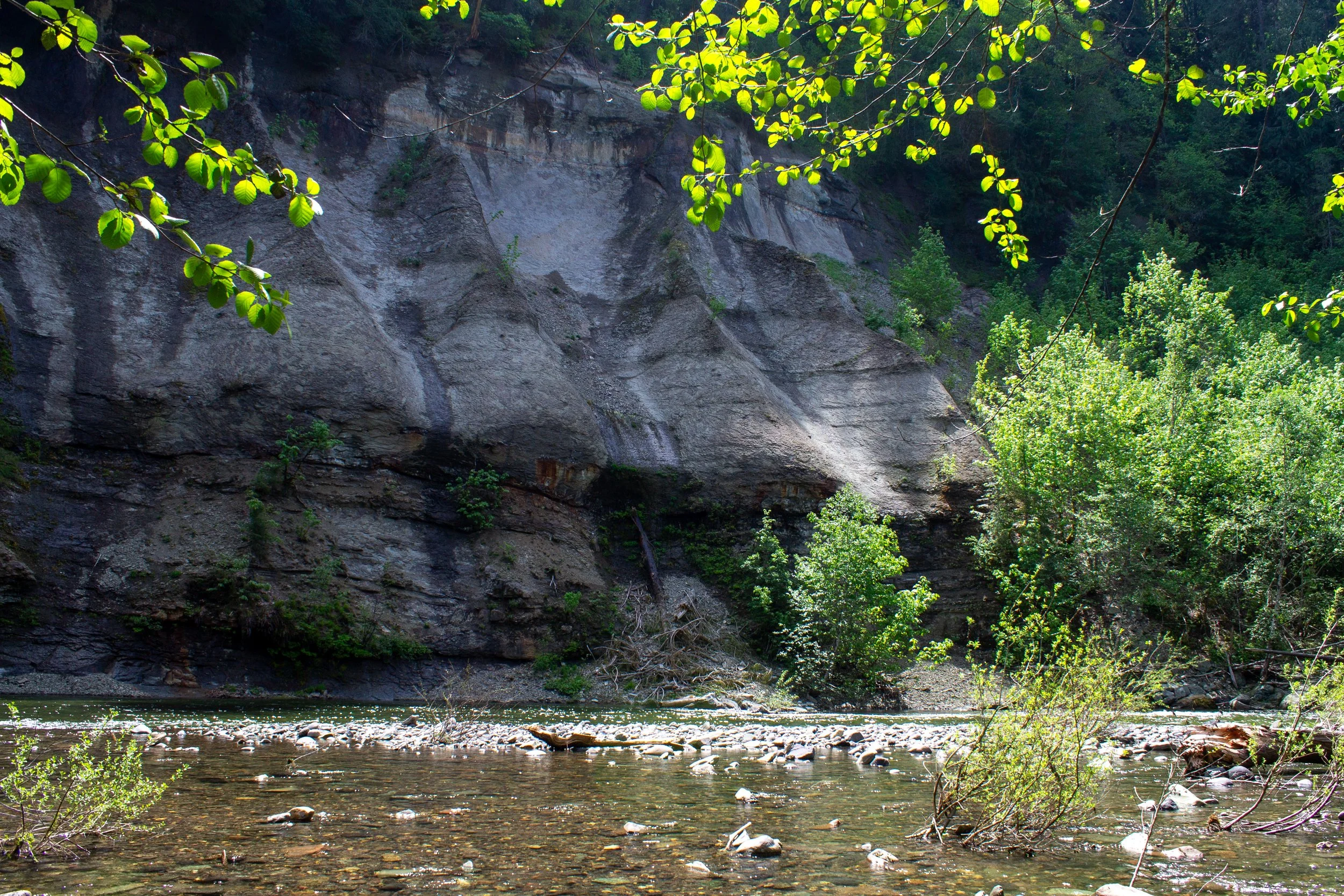 15 Best Swimming Holes and Beaches near Portland — Pines and Vines