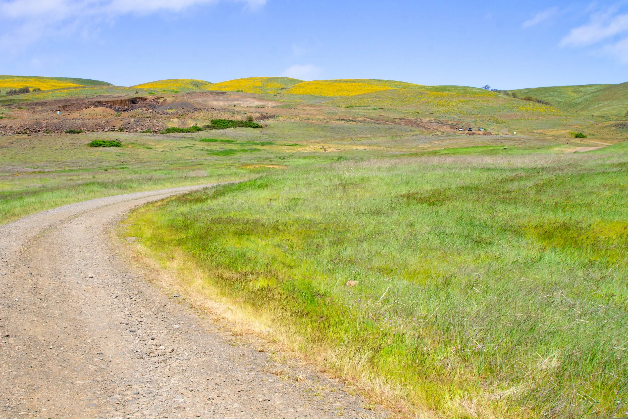 Dirt road leading to hills with yellow flowers