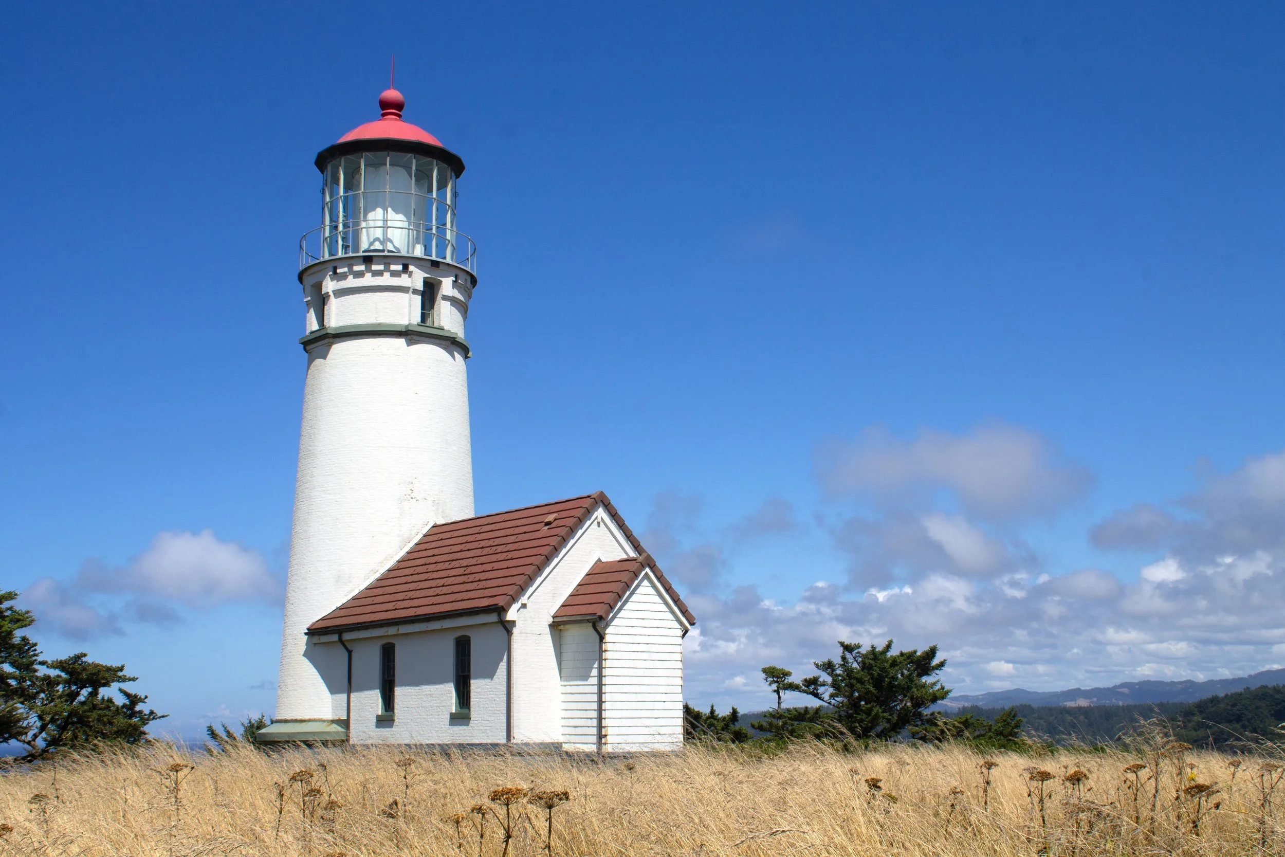 Cape Blanco Lighthouse in field of dry grass