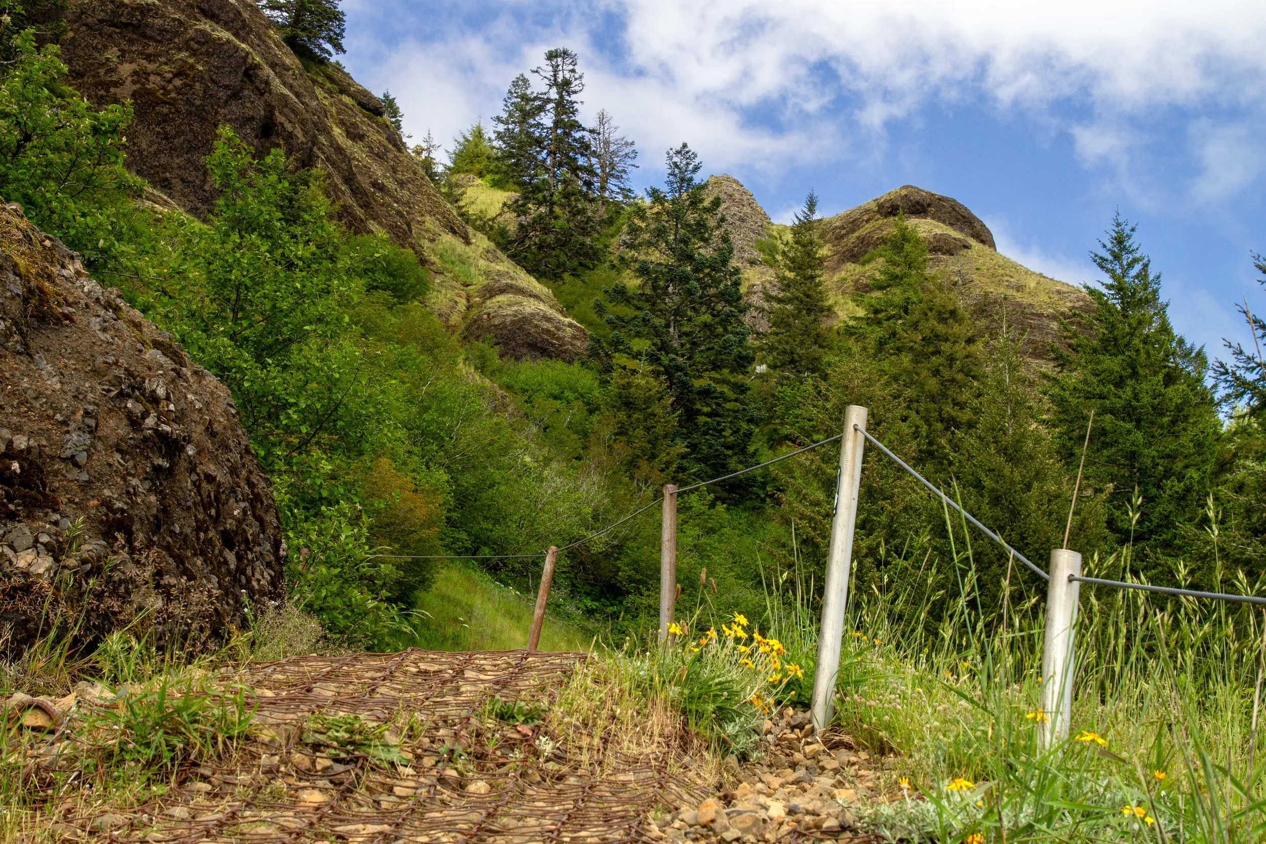 Cables along Saddle Mountain Trail