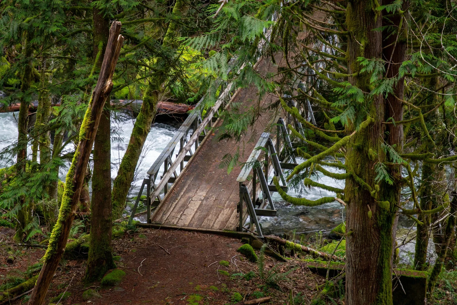 15 Hidden Gem Hikes near Portland — Pines and Vines