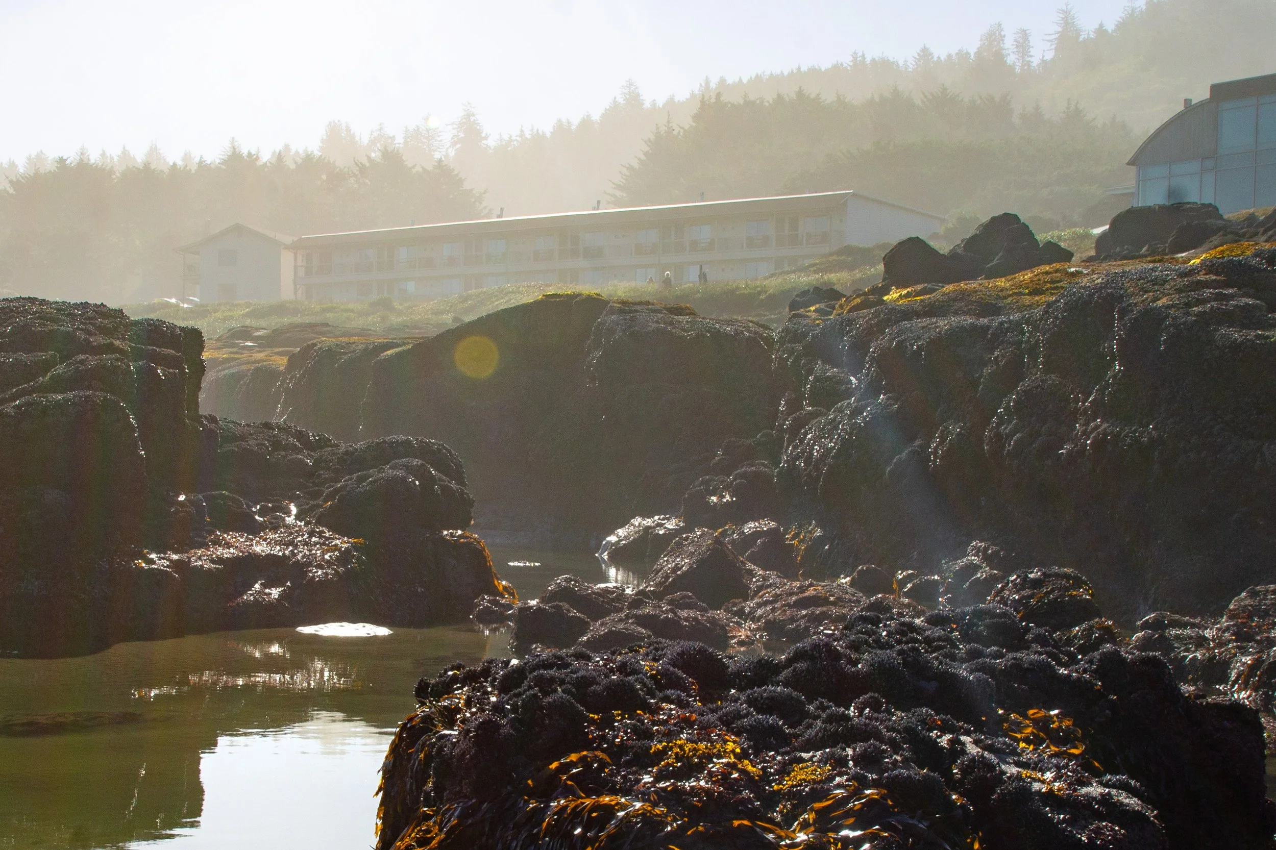 Hotel overlooking intertidal area