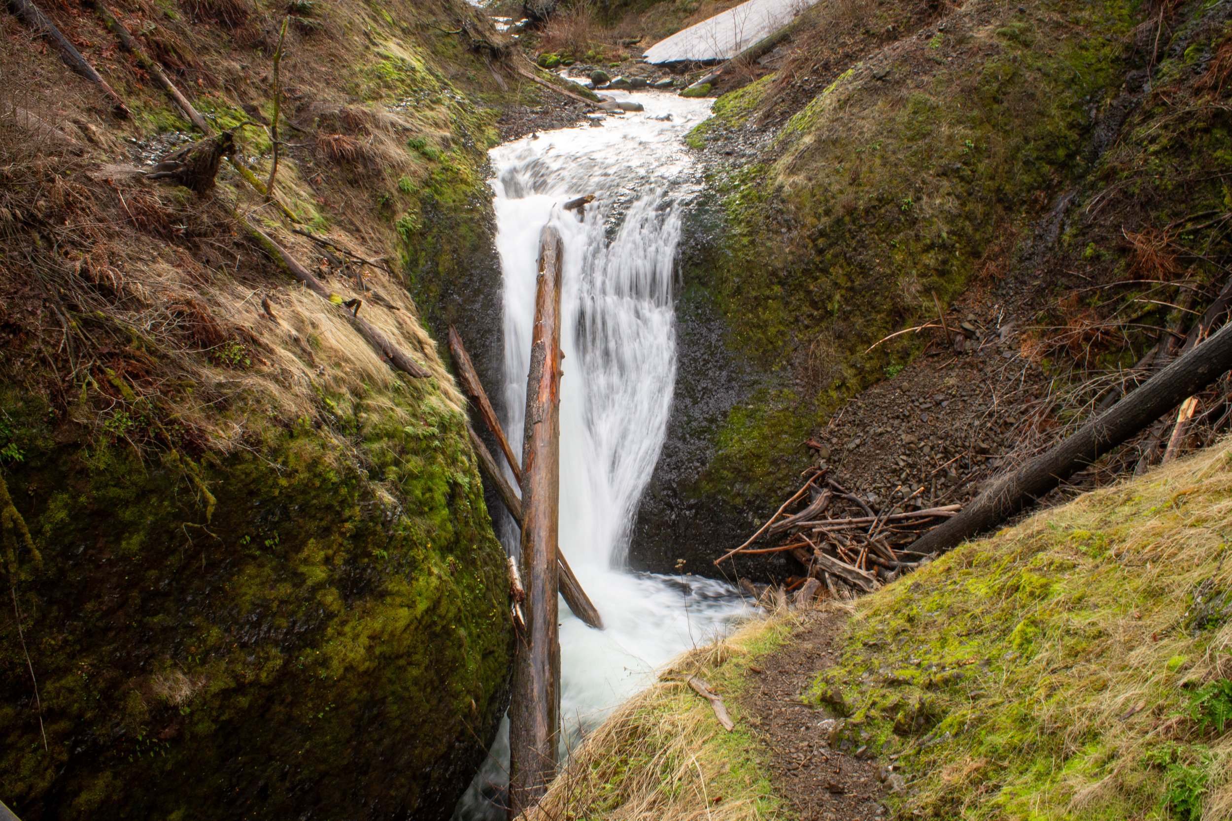 Hiking trail in front of Middle Oneonta Falls