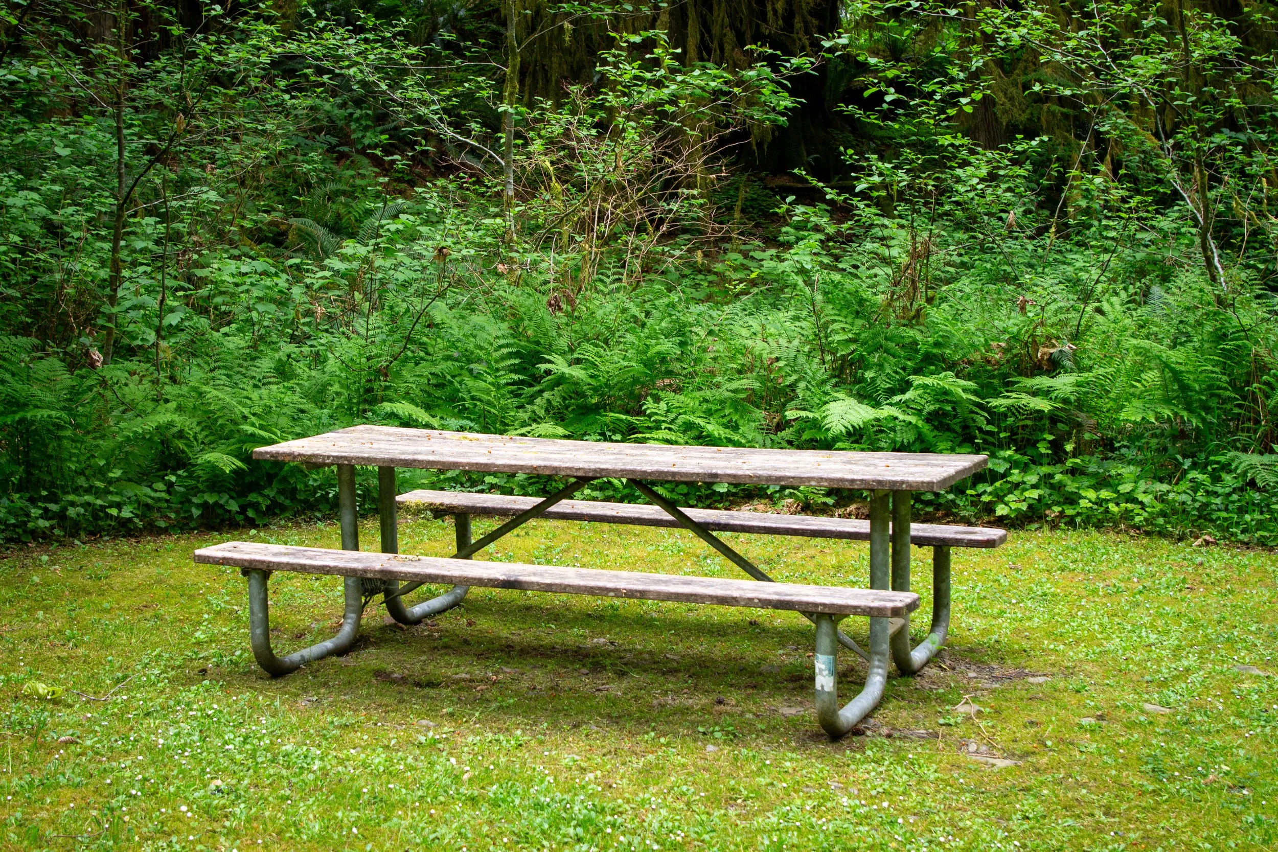 Picnic table in Lee Wooden Fishhawk Creek County Falls