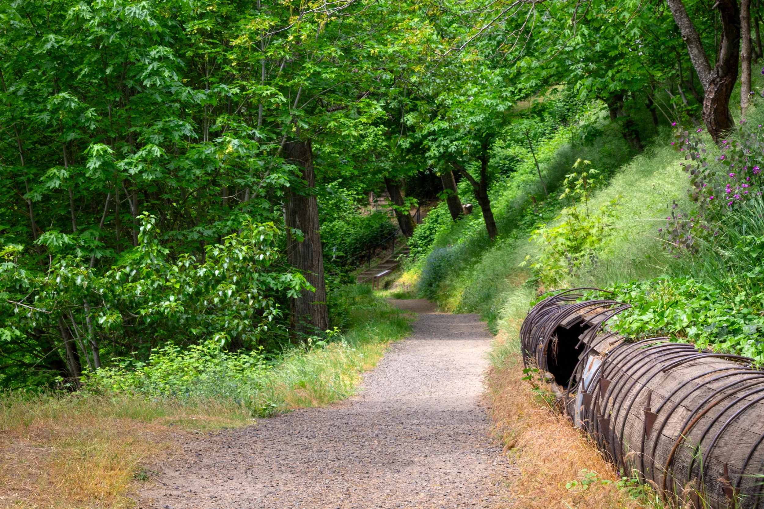 Partially collapsed wooden flume on Indian Creek Trail