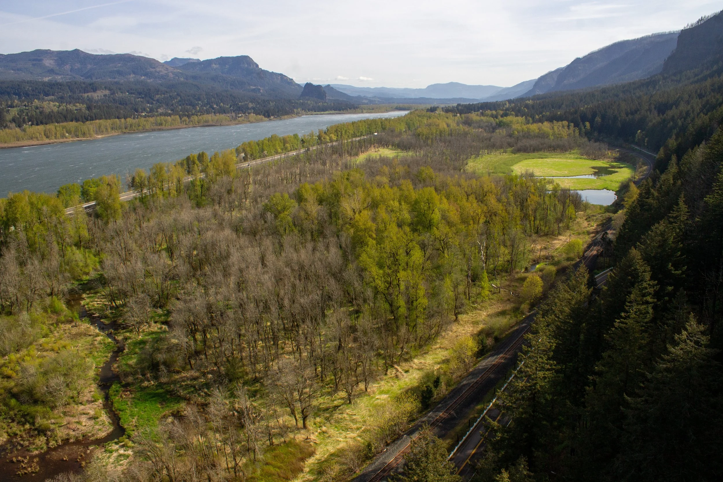 Columbia Gorge view from the Triple Falls hike