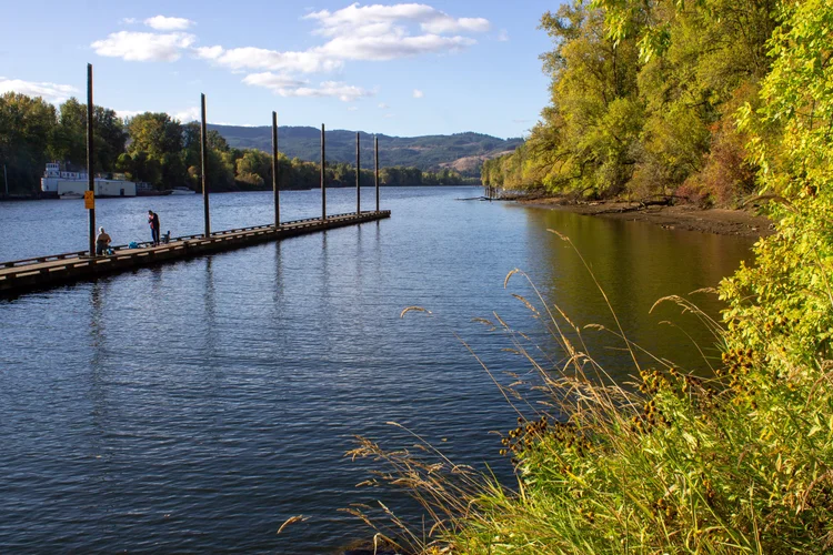 9 Fun Things To Do On Sauvie Island Pines And Vines Pines And Vines 9-fun-things-to-do-on-sauvie-island-pines-and-vines-pines-and-vines