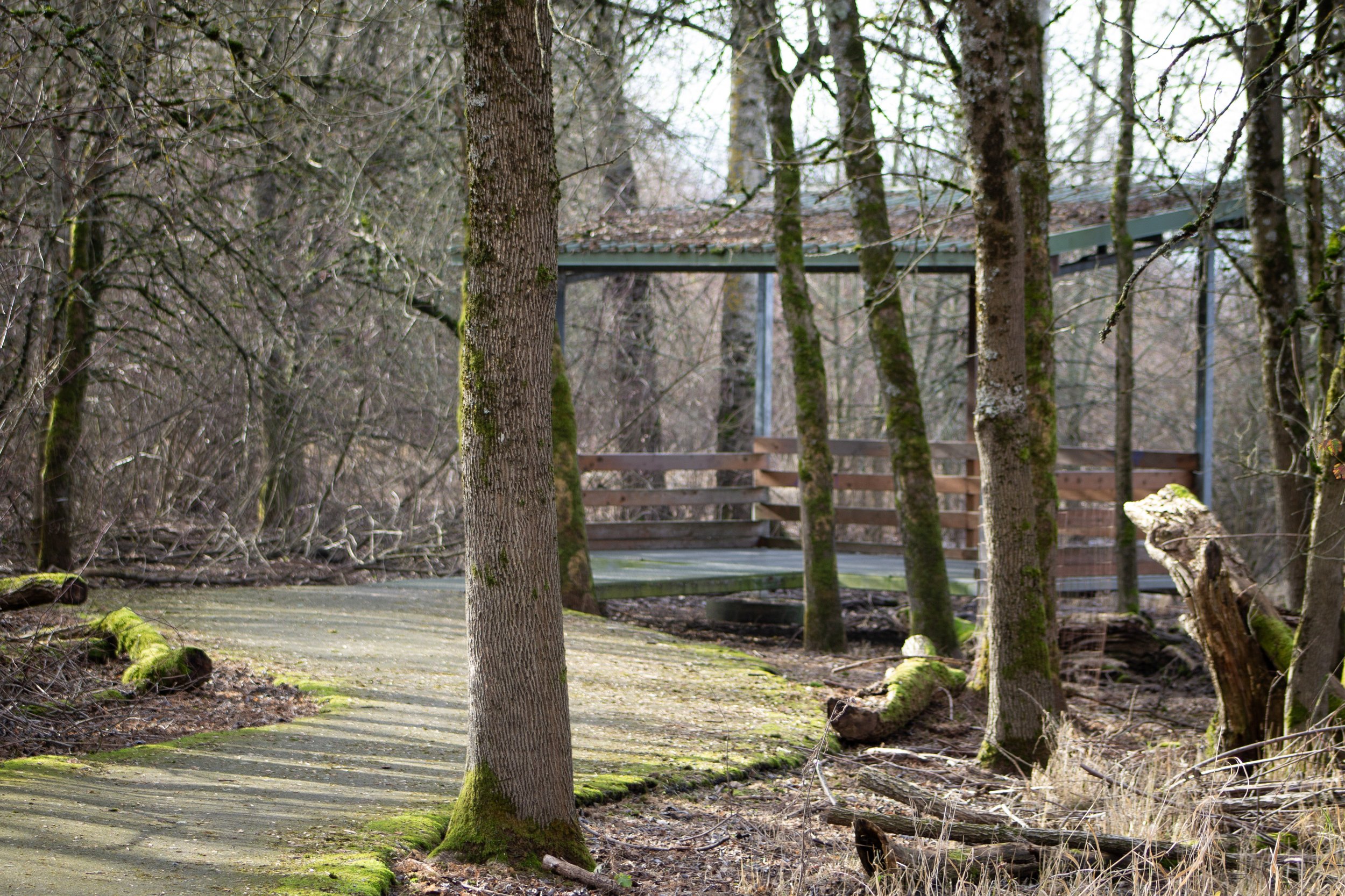 Paved trail to covered viewing shelter