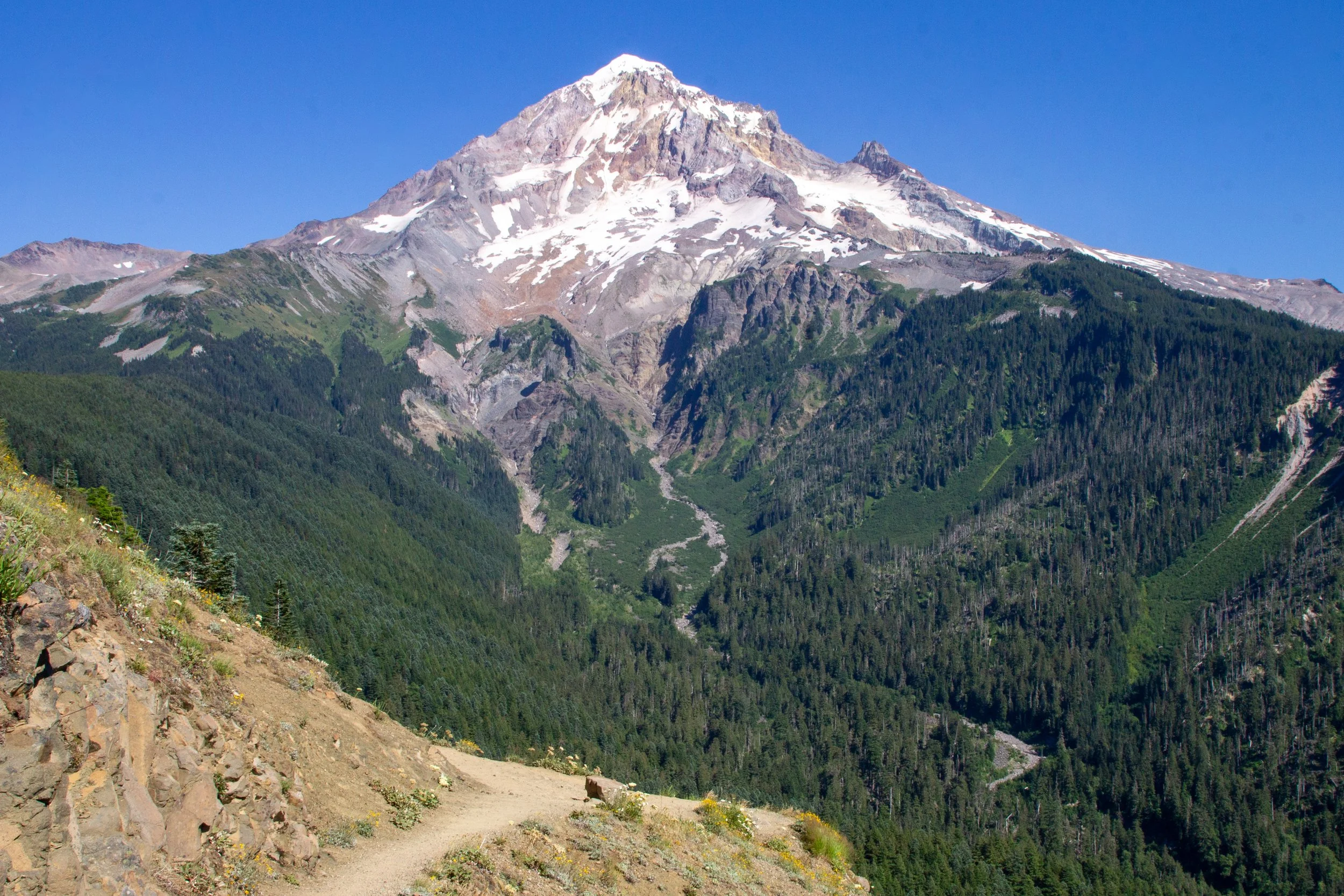 Bald Mountain Hike [Top Spur-Timberline Loop]