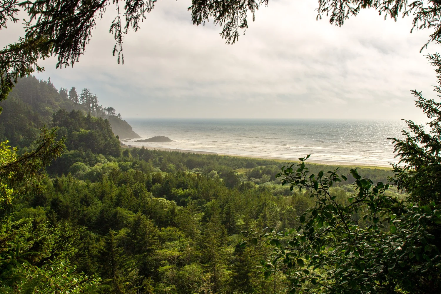 Quick Guide to Cape Disappointment State Park — Pines and Vines