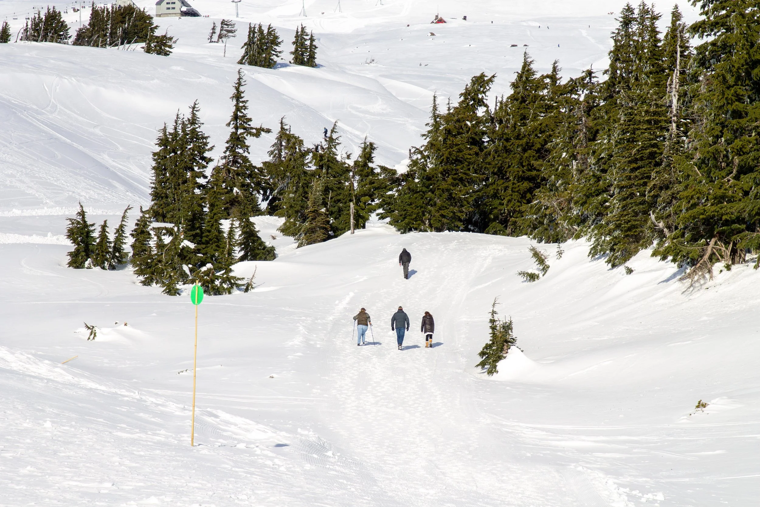 How to Snowshoe at Timberline Lodge — Pines and Vines