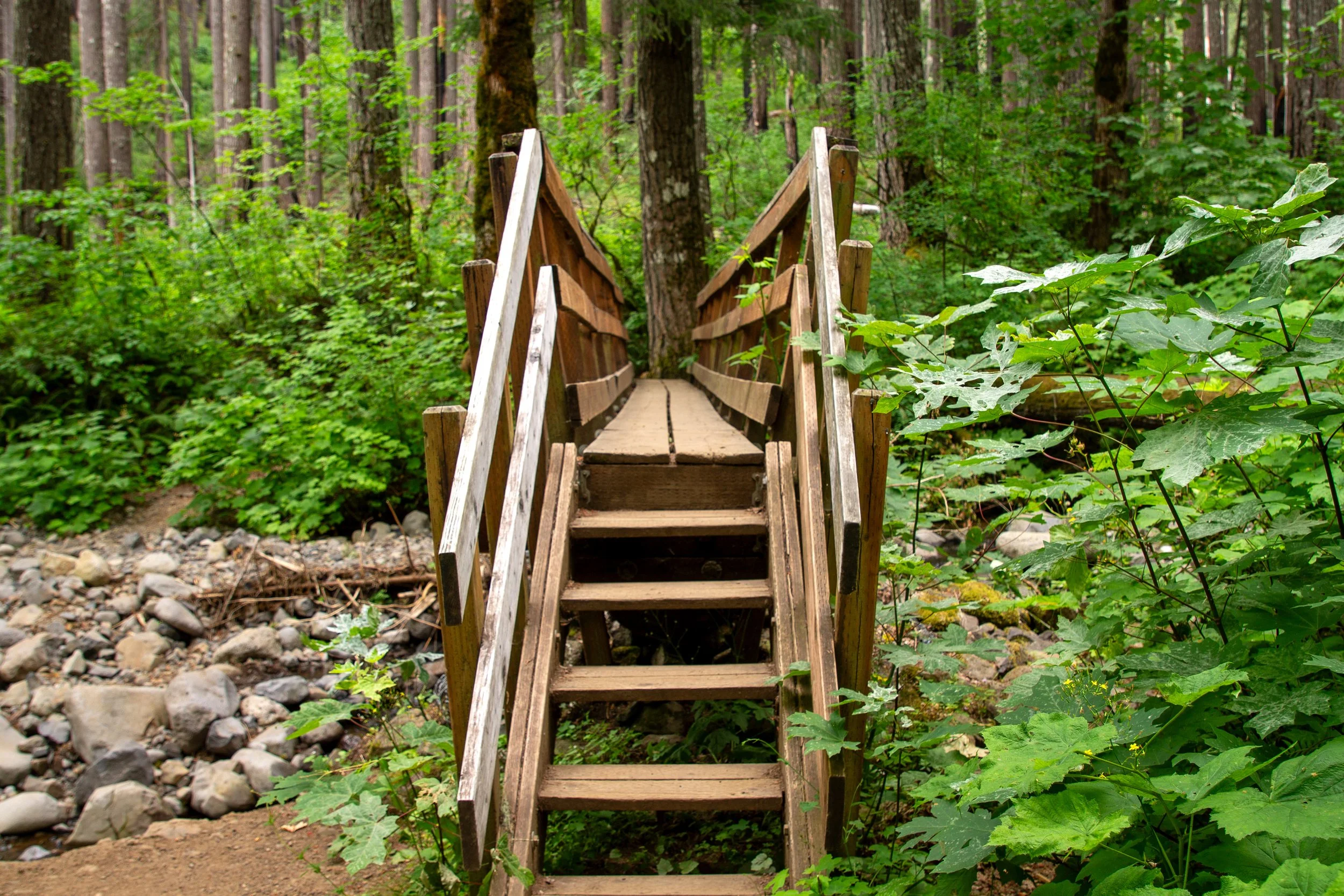 Footbridge over Dry Creek
