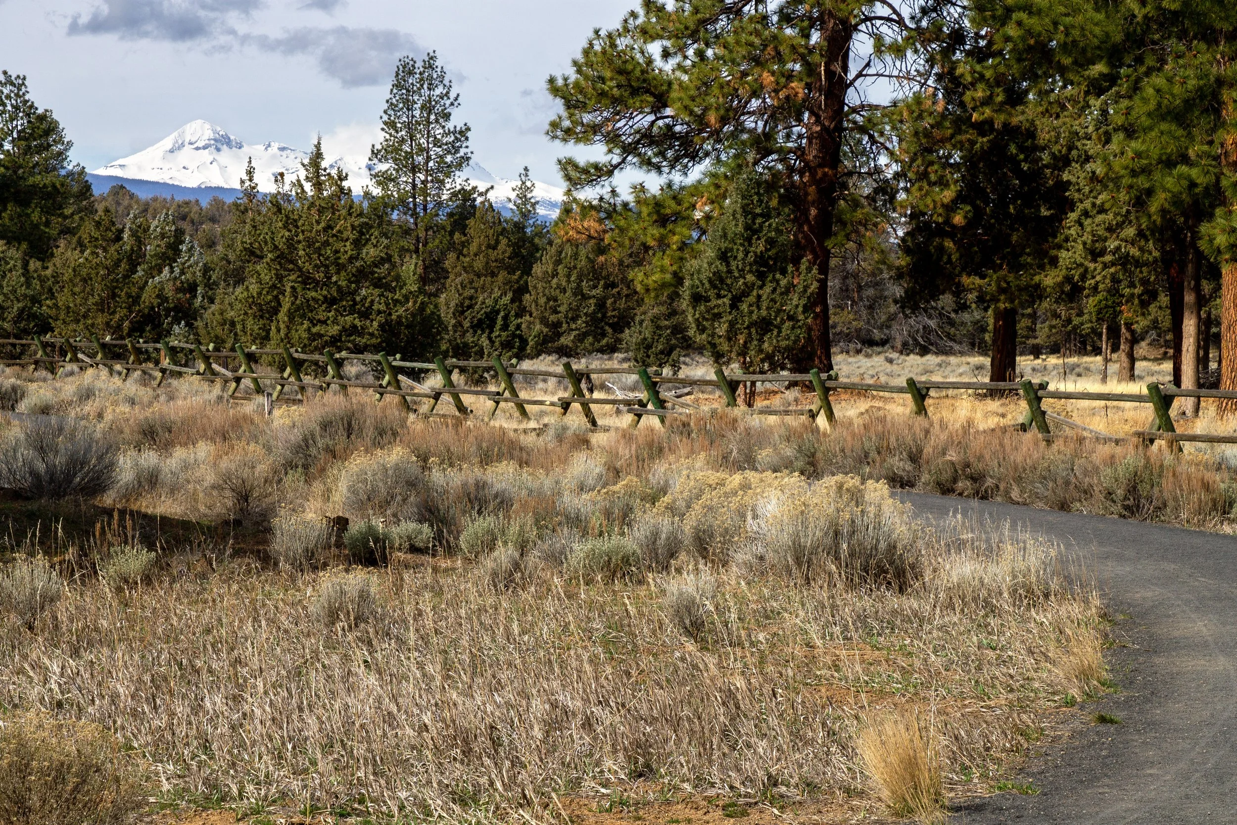 Hiking trail with Cascade Mountains in background
