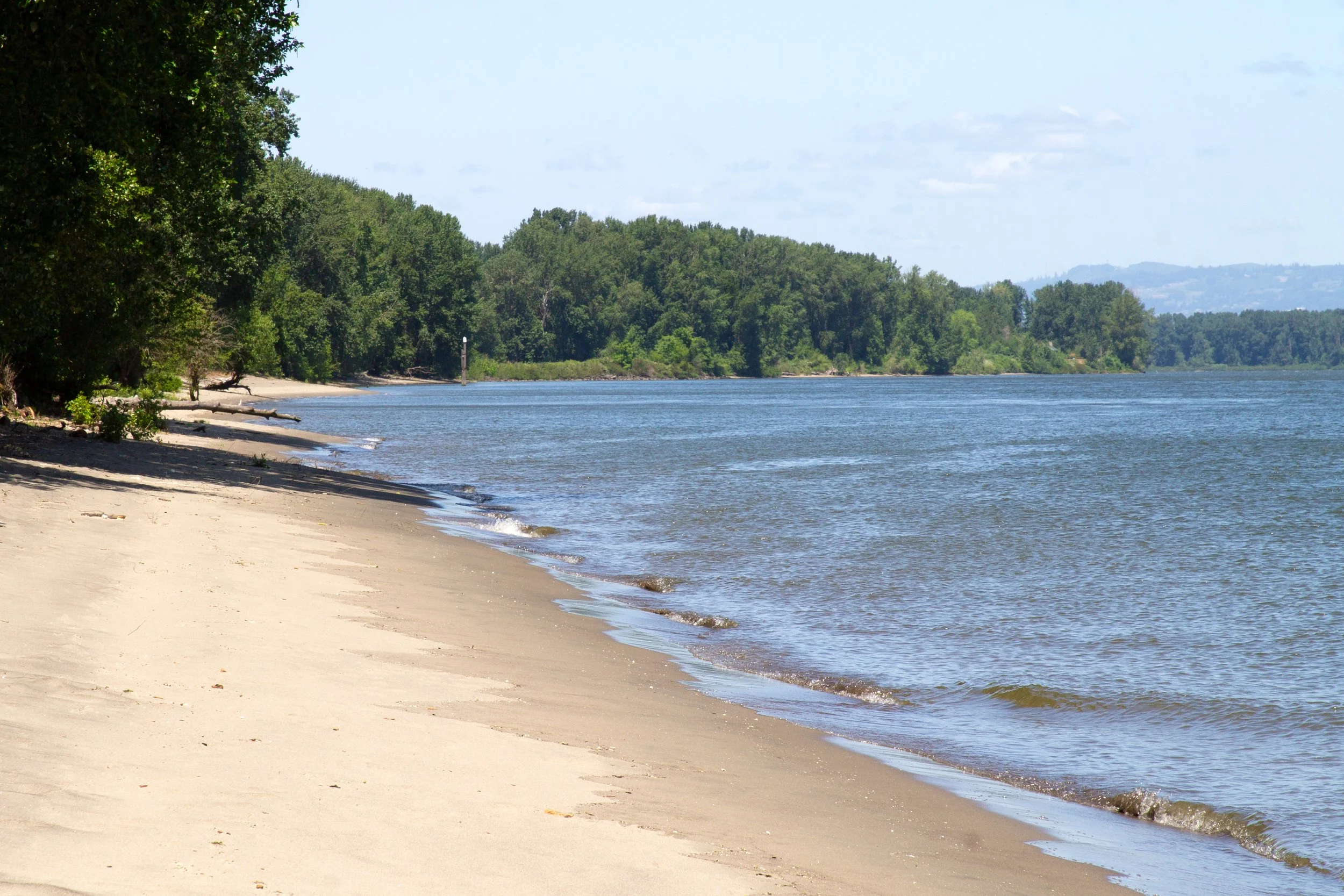 Sandy beach on river