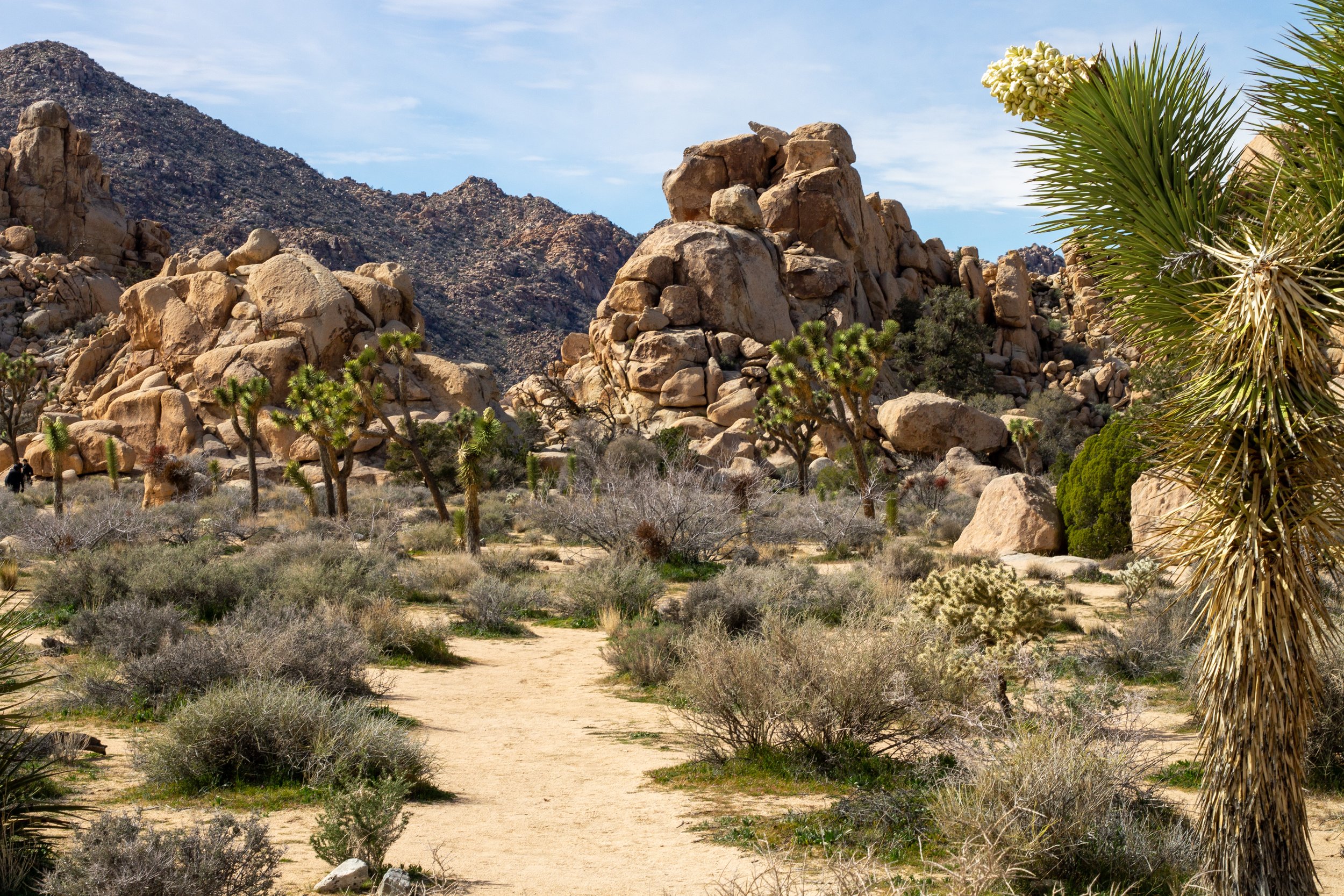 Path leads to granite rock formations at Hemingway
